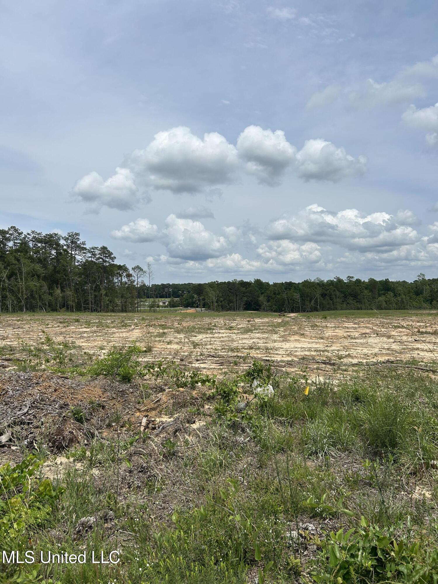 1 Ac Old Hwy 63 S Parcel 3 Property Photo 3