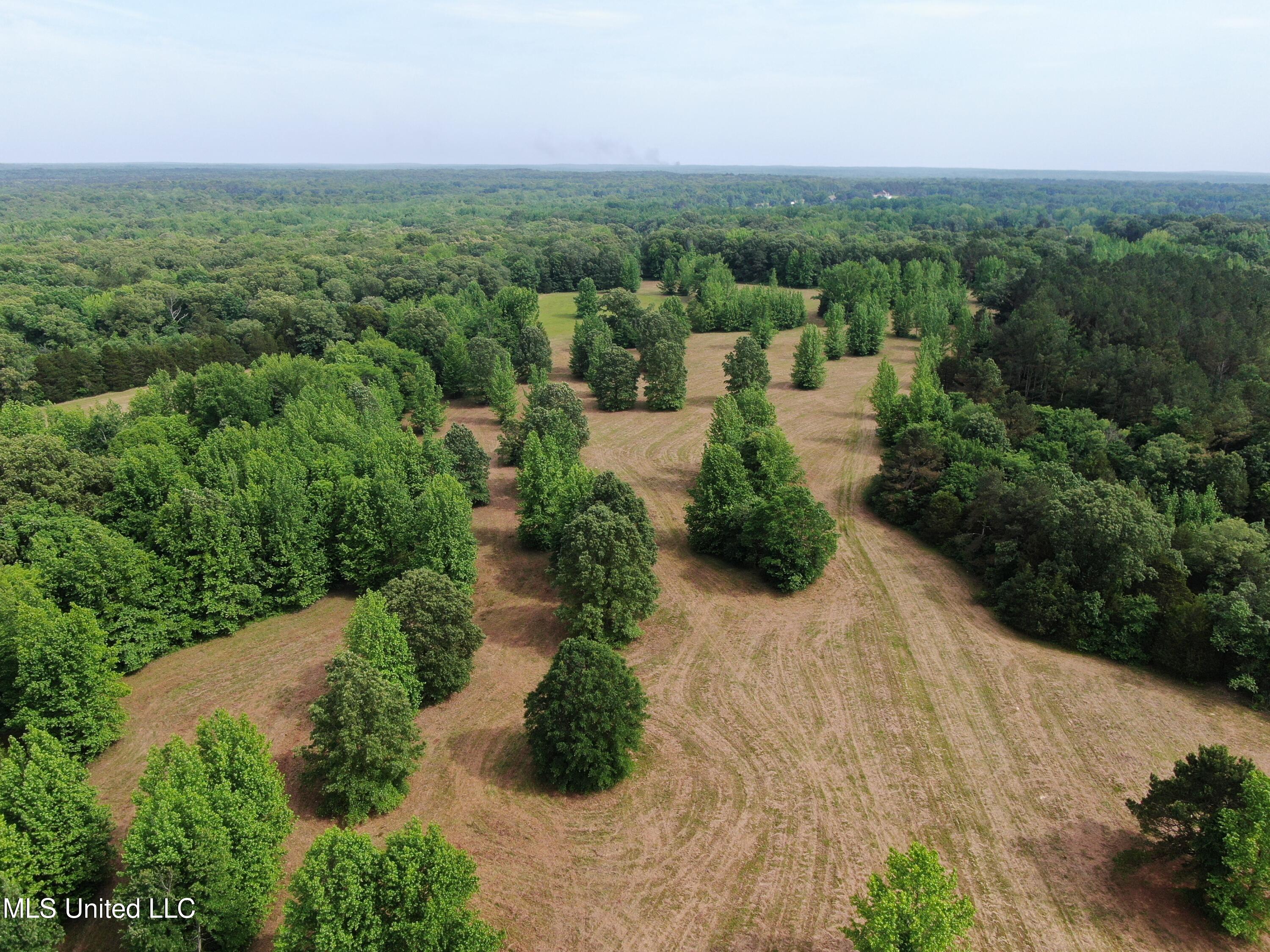 656 Sunset Drive Property Photo 4