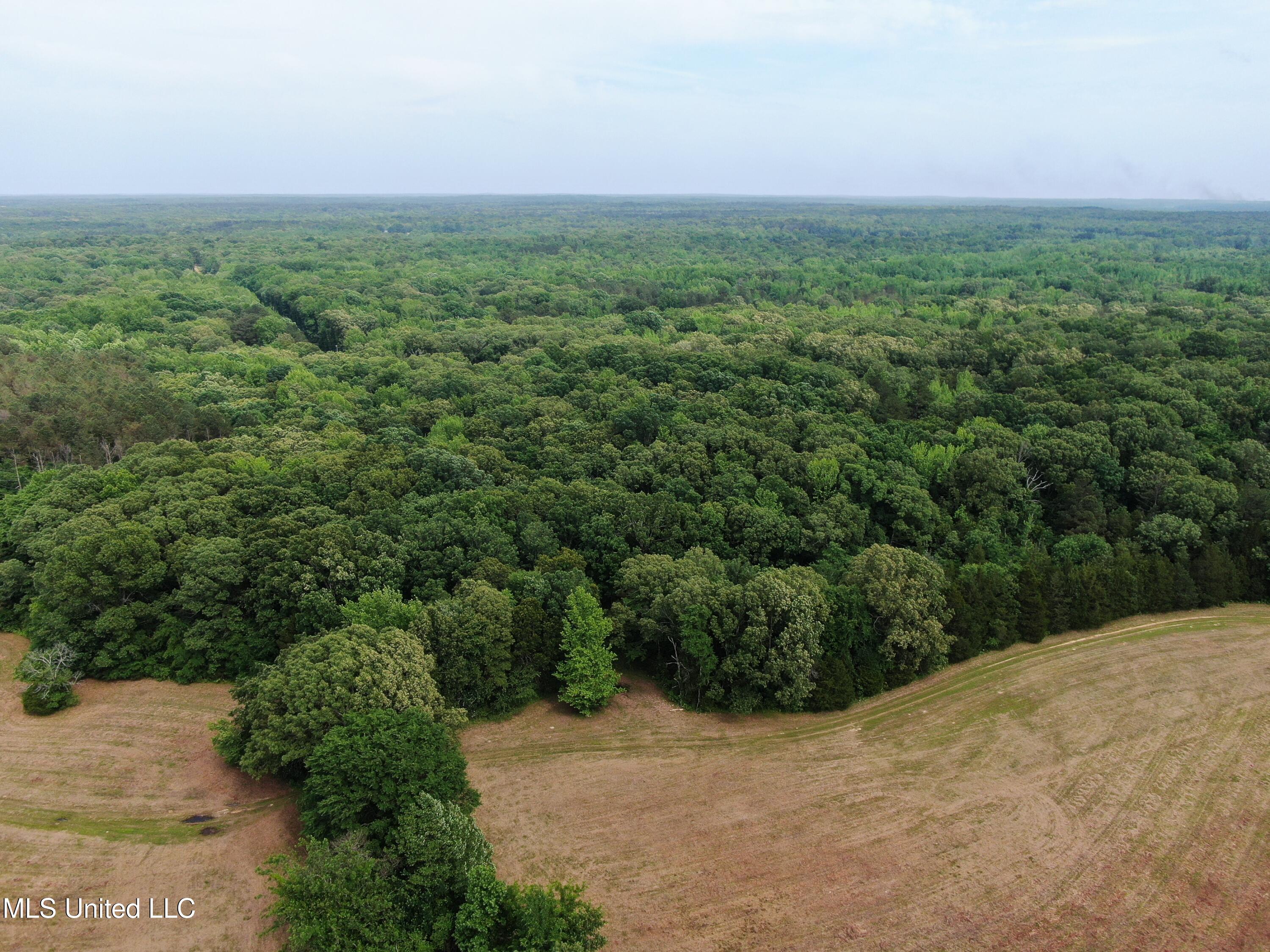 656 Sunset Drive Property Photo 11