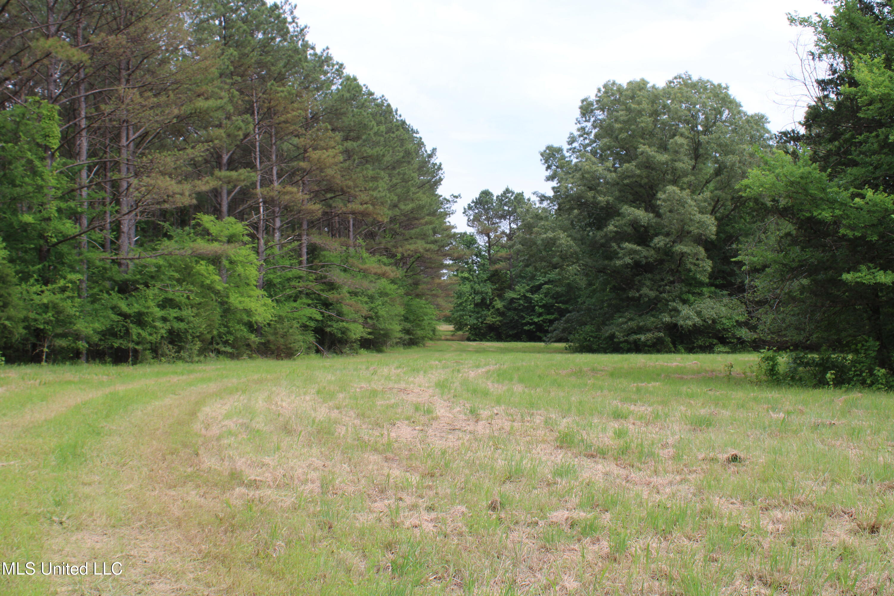 656 Sunset Drive Property Photo 17