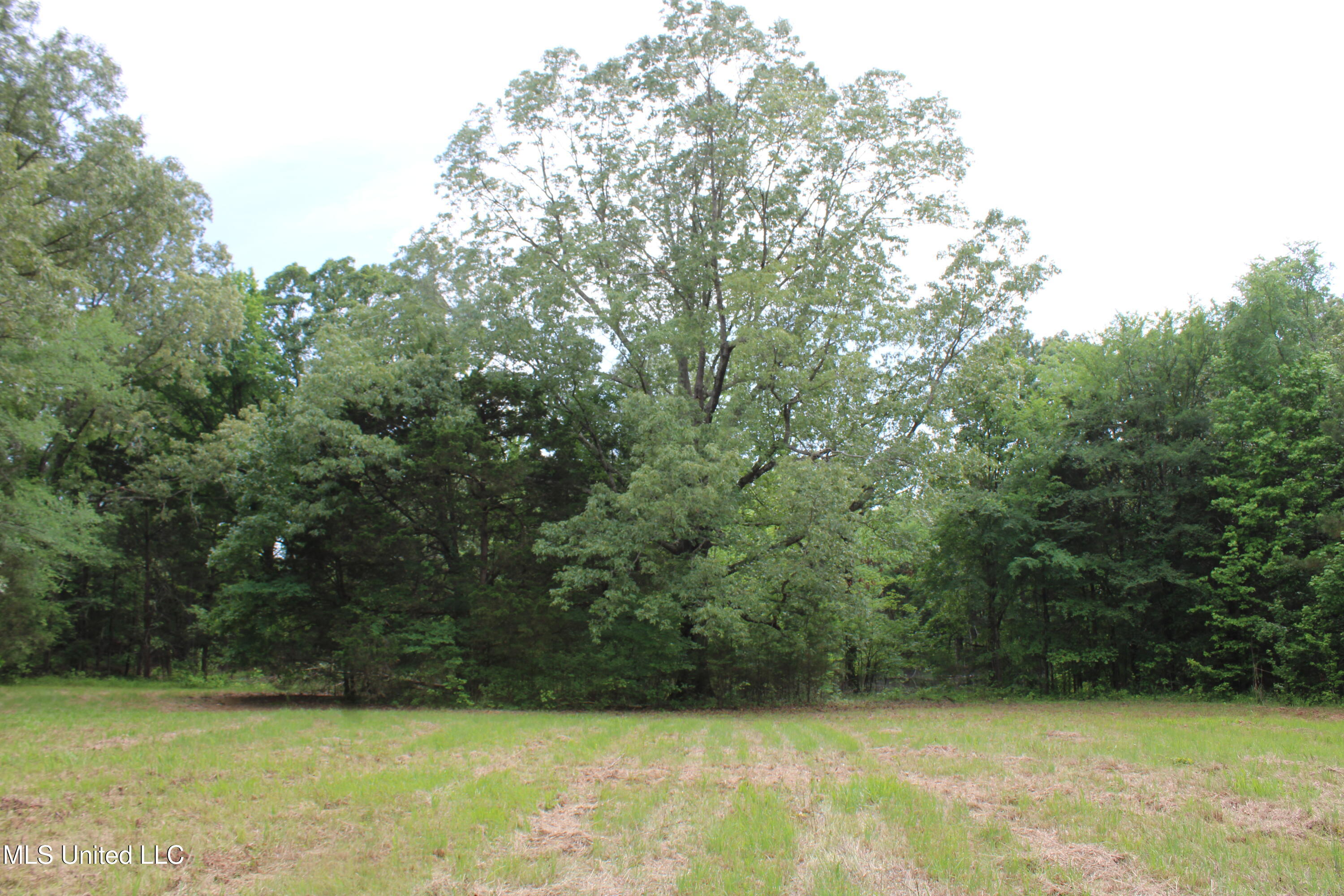 656 Sunset Drive Property Photo 18