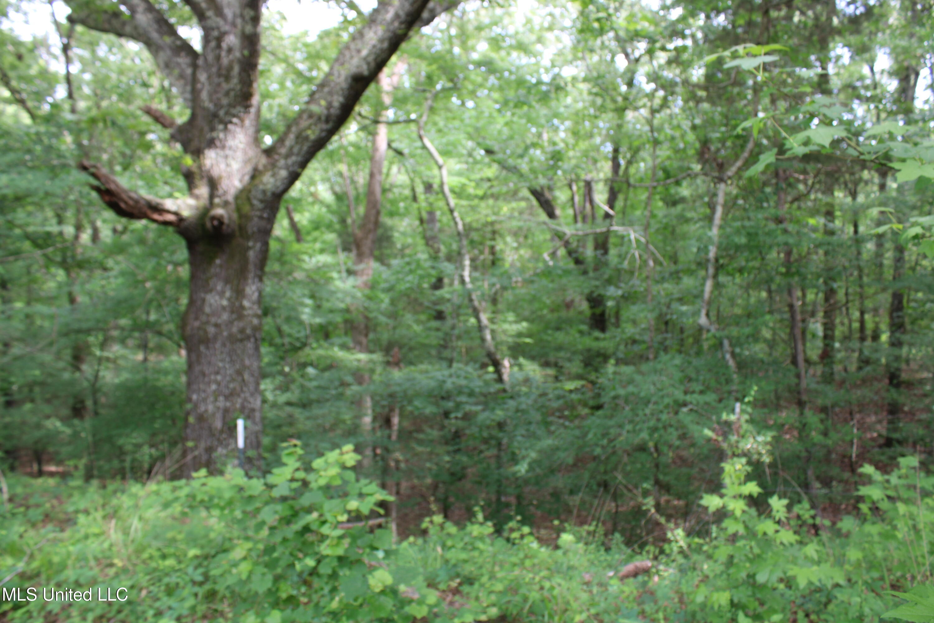 656 Sunset Drive Property Photo 25