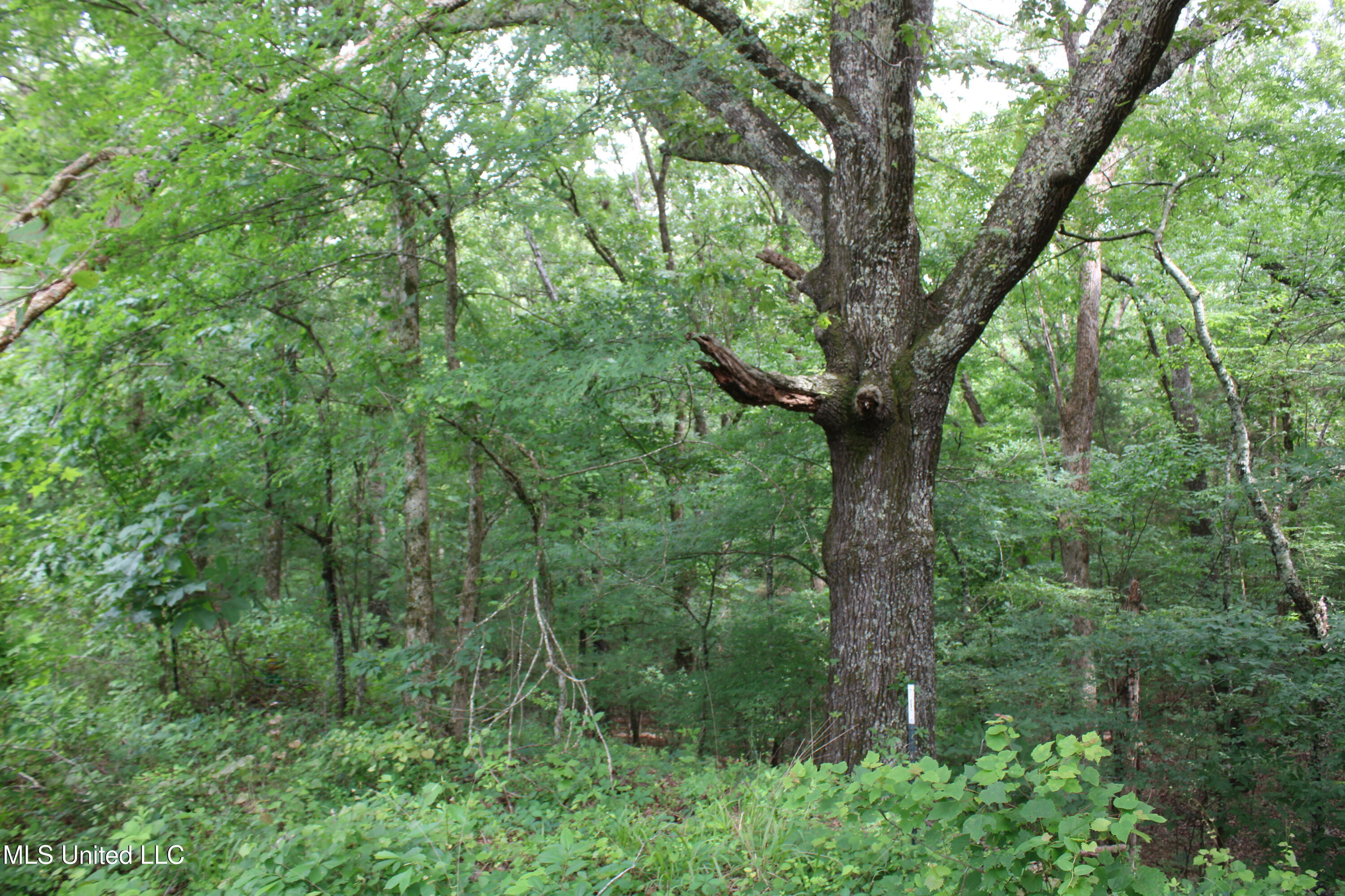 656 Sunset Drive Property Photo 26