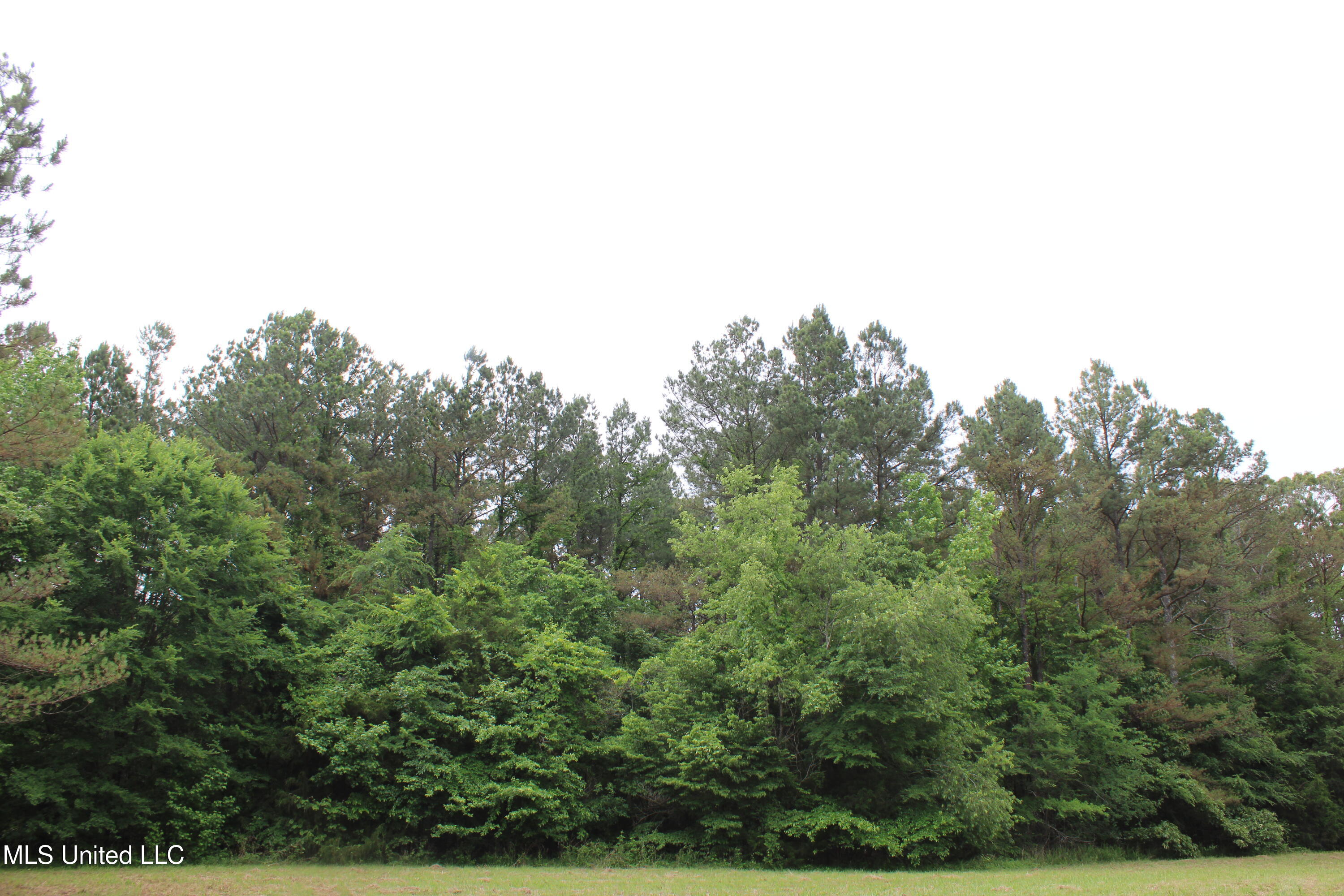 656 Sunset Drive Property Photo 27