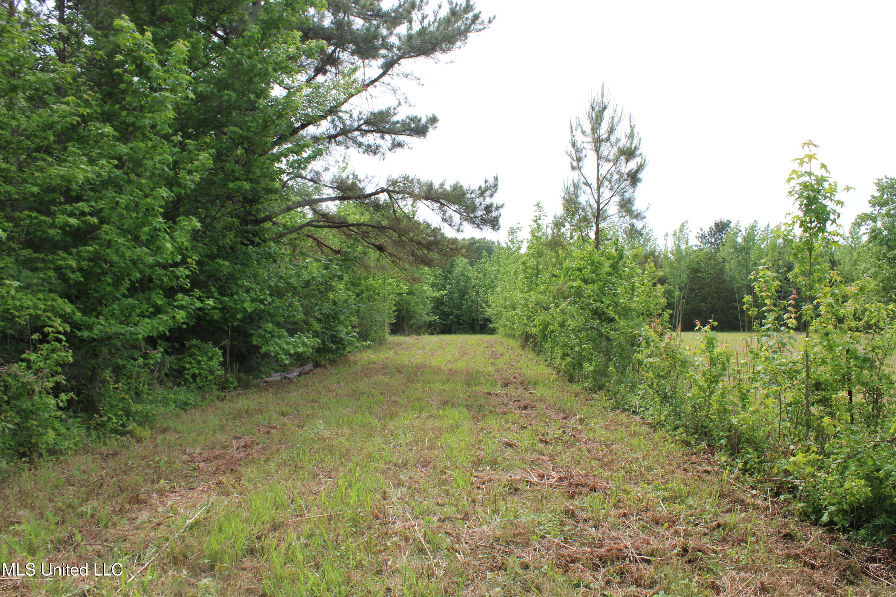 656 Sunset Drive Property Photo 31
