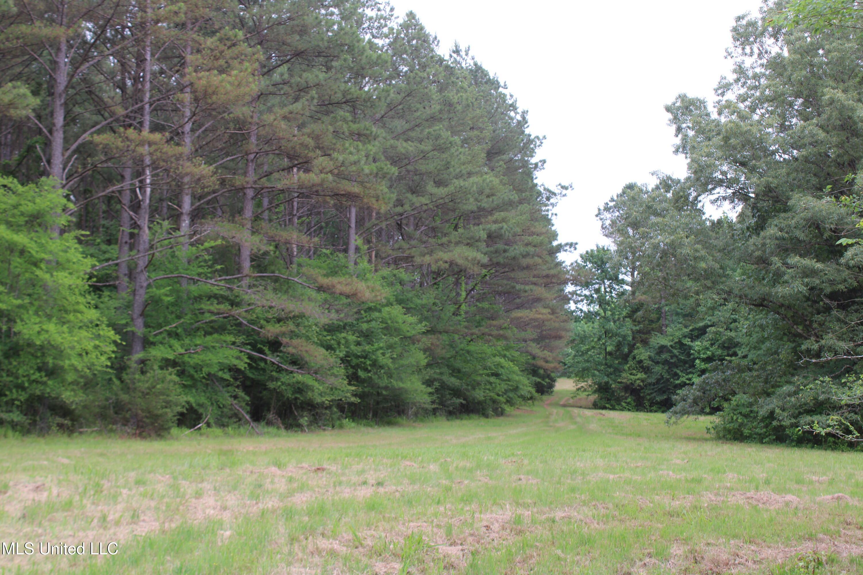656 Sunset Drive Property Photo 40