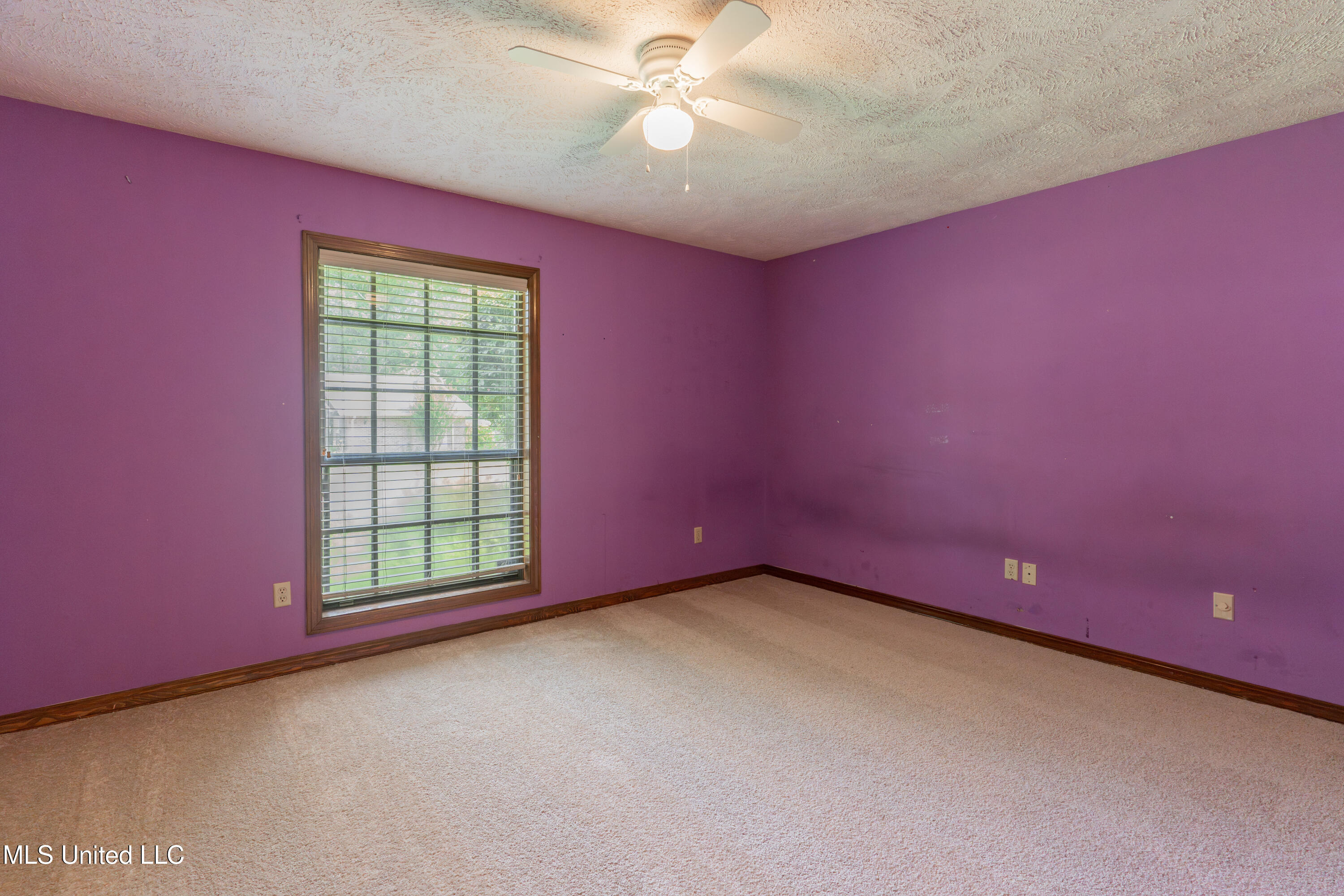 504 Hampton Street Property Photo 44