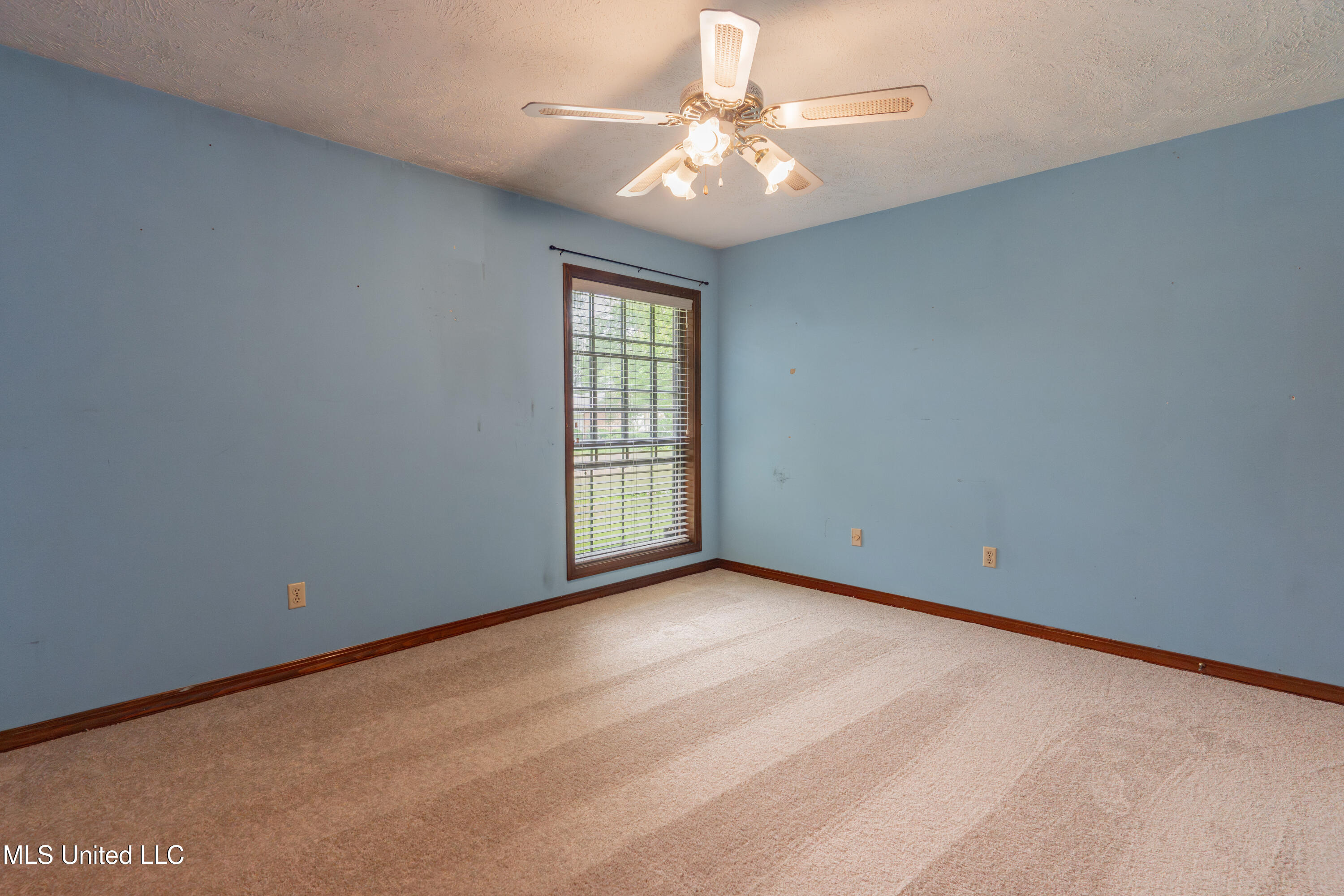 504 Hampton Street Property Photo 51