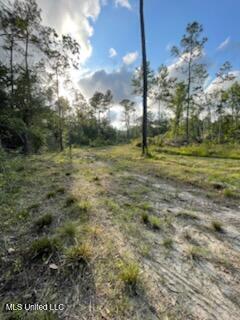 12409 Lorraine Road Property Photo 4