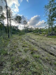 12409 Lorraine Road Property Photo 5