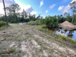 12409 Lorraine Road Property Photo 6