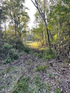 12409 Lorraine Road Property Photo 8