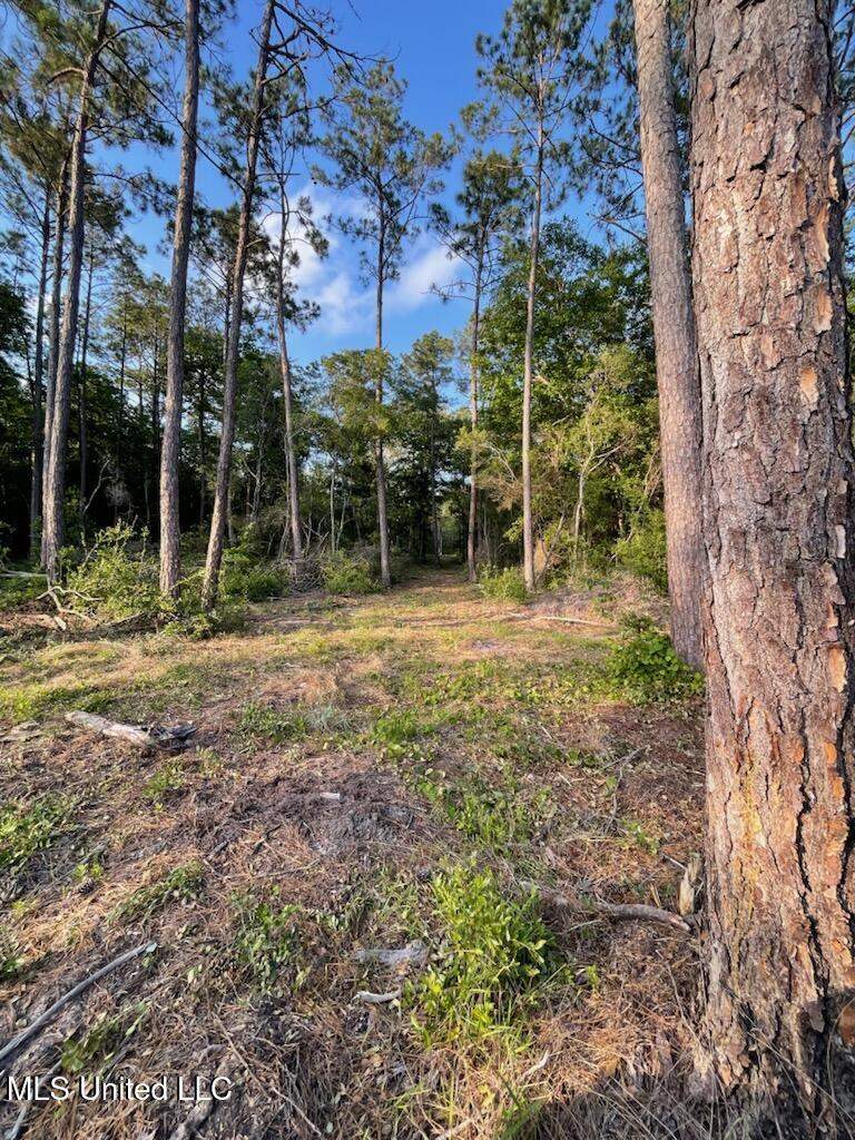 12409 Lorraine Road Property Photo 14