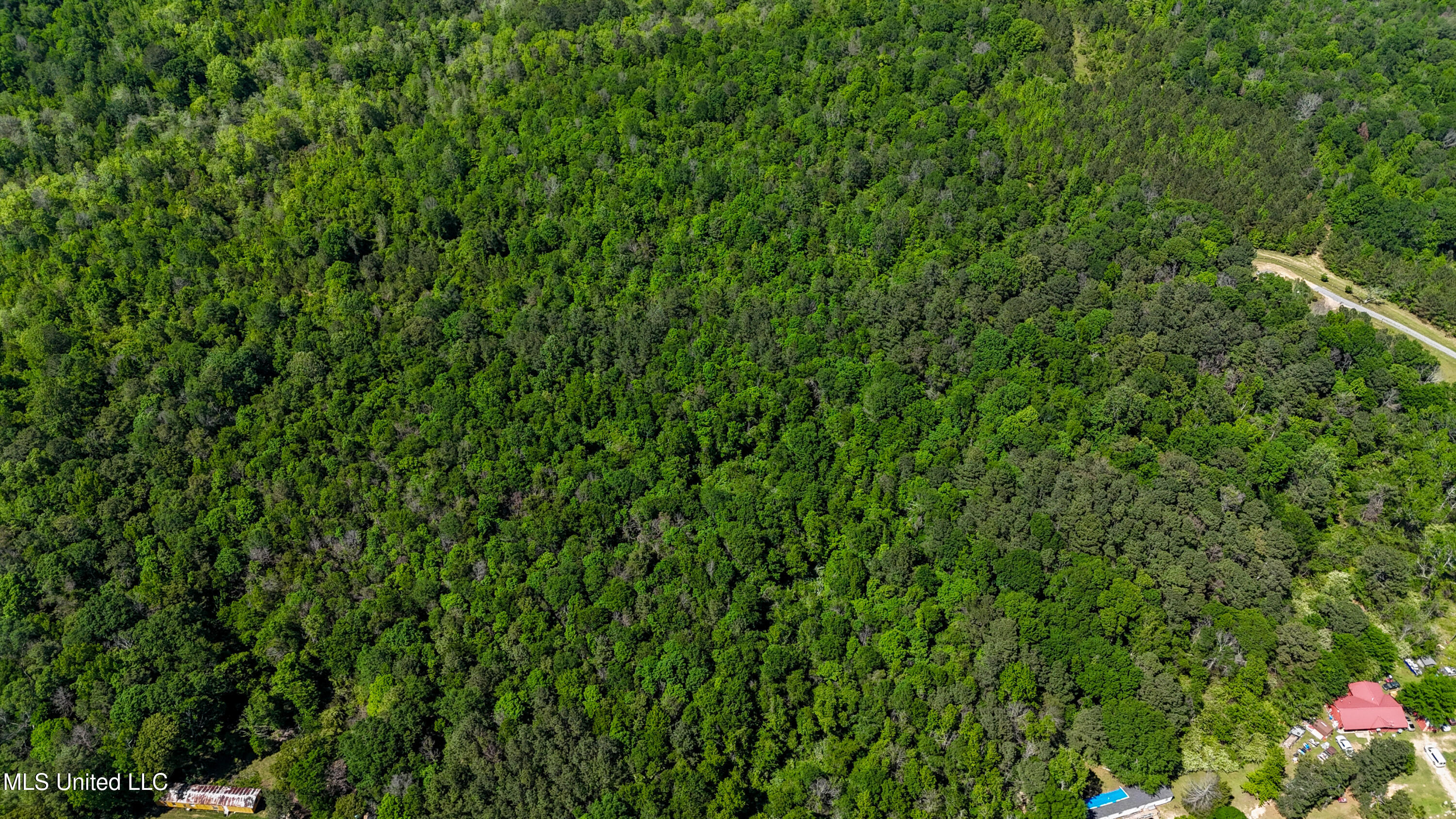 242 Dan George Rd Road Property Photo 4