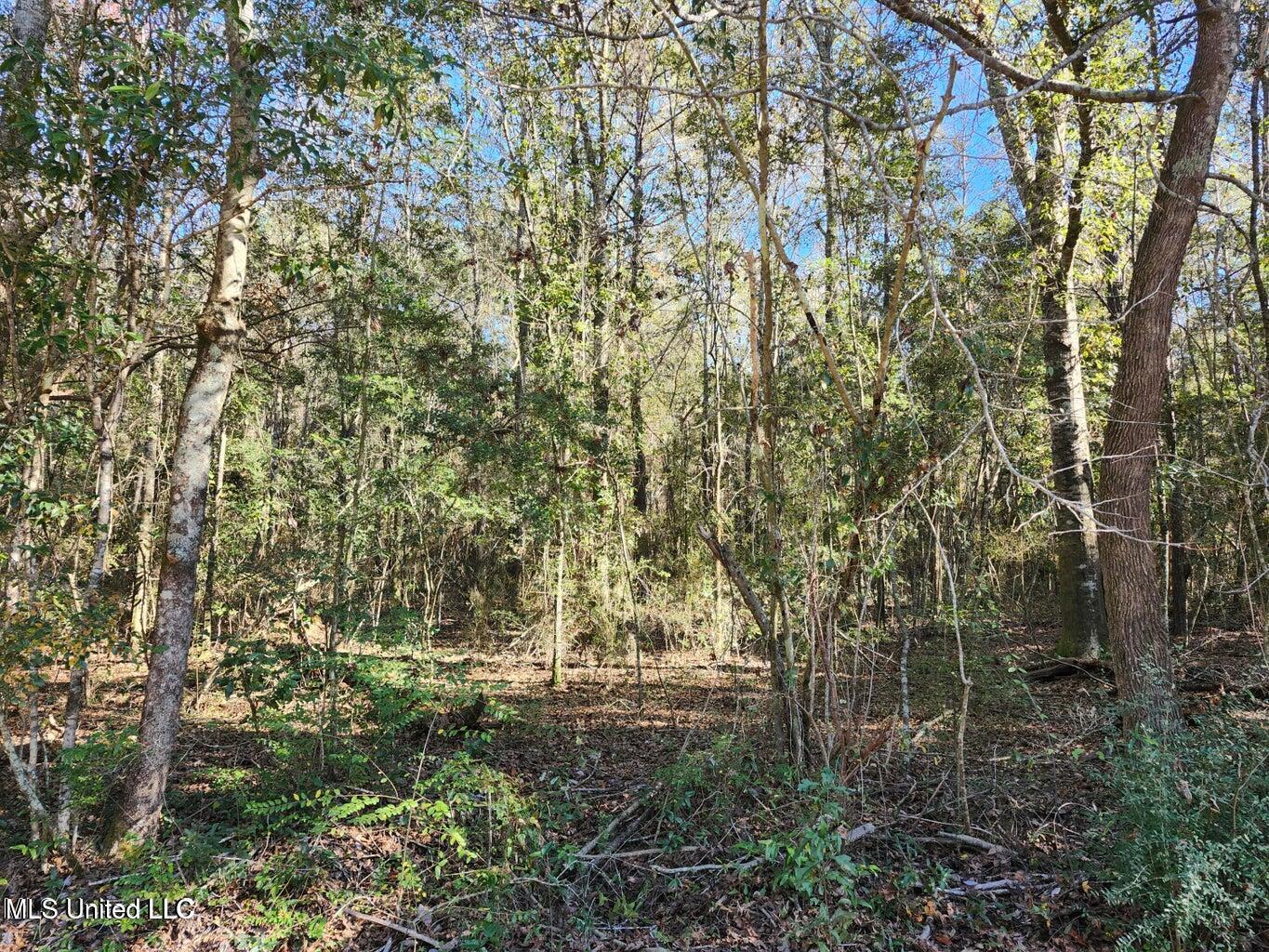 Nhn Hoda Road Property Photo 1