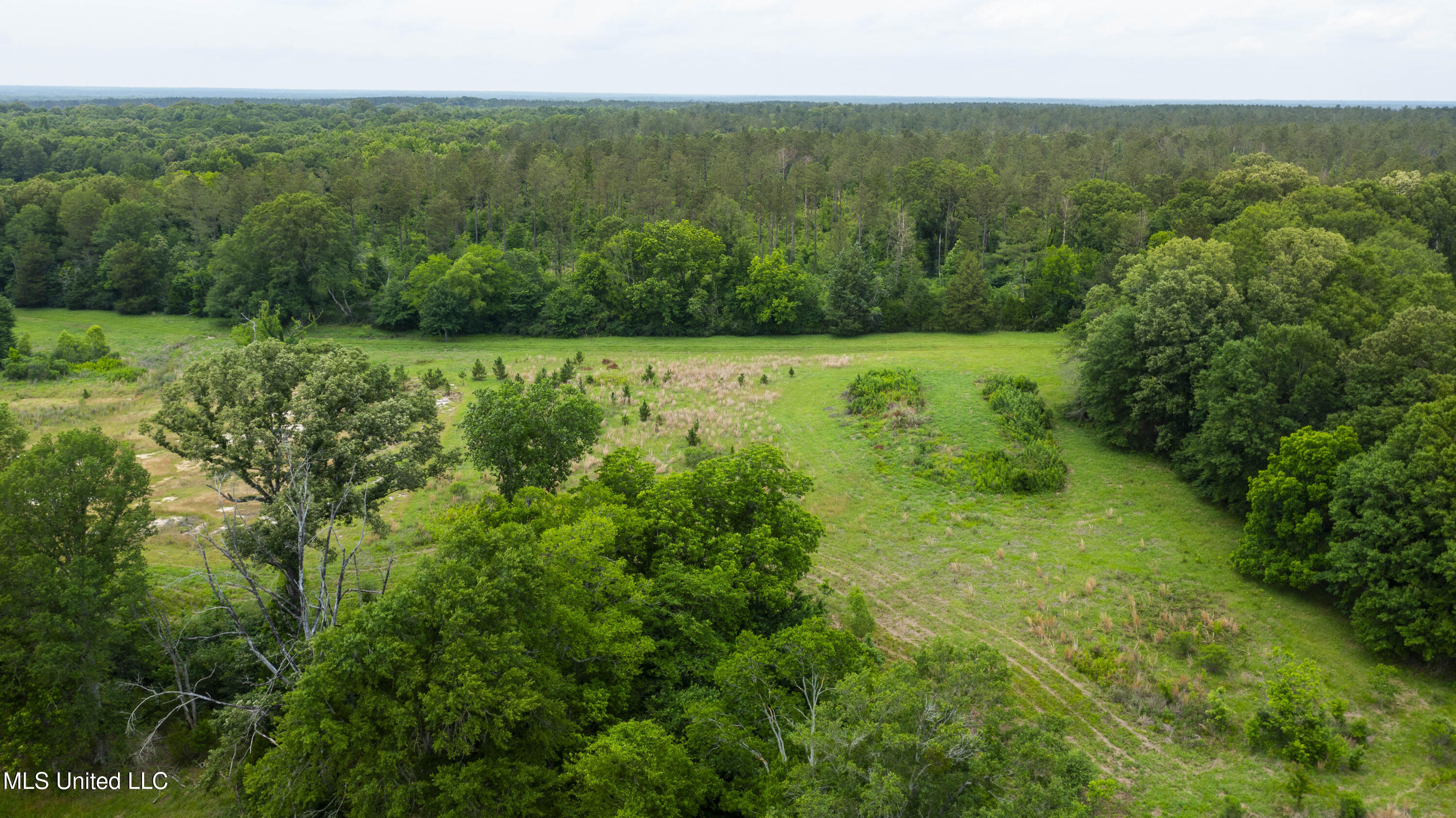 Horseshoe Lane Property Photo 11