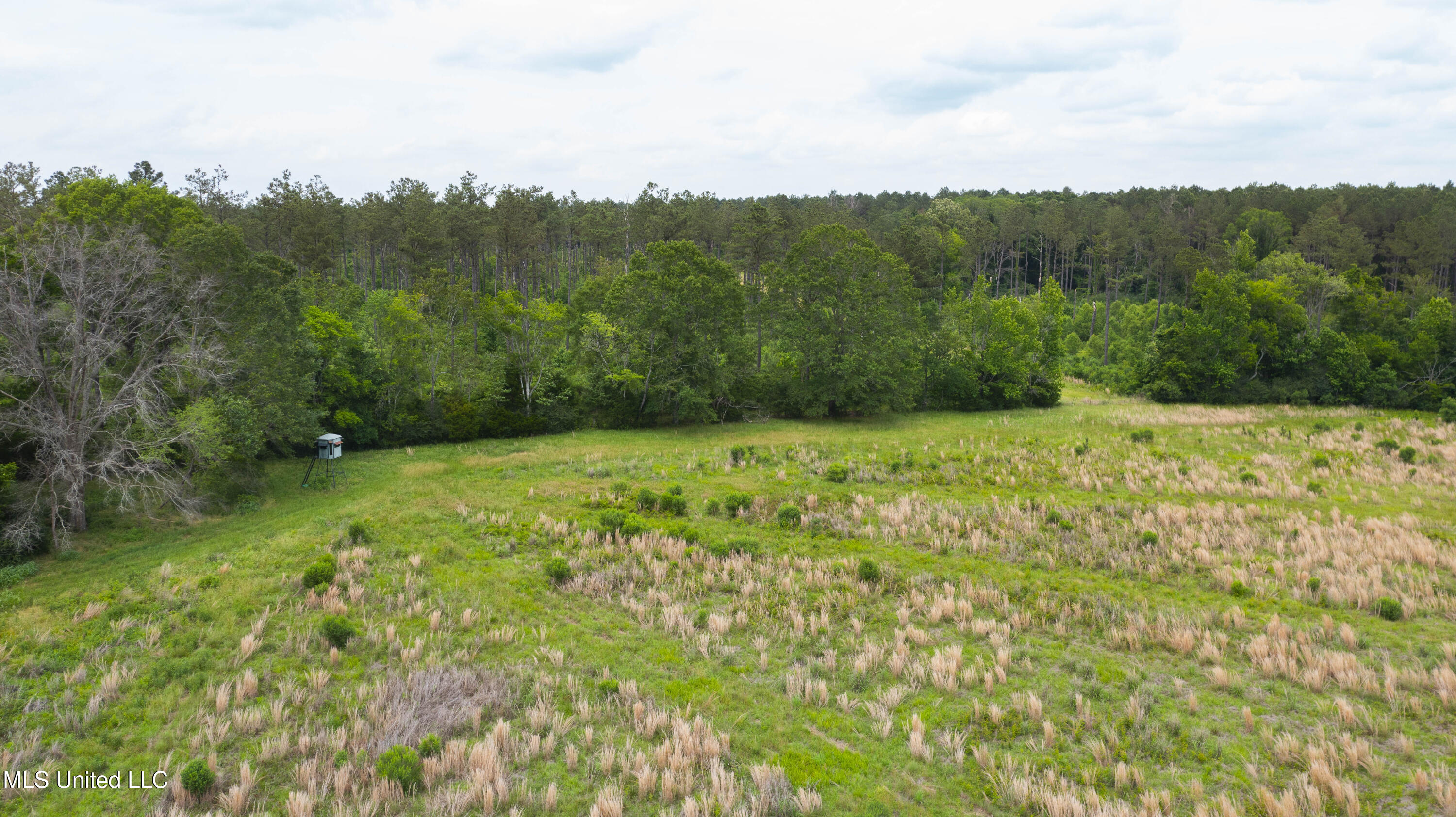 Horseshoe Lane Property Photo 15