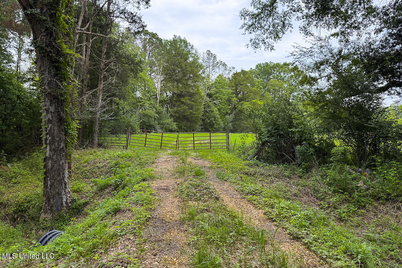 Horseshoe Lane Property Photo 18