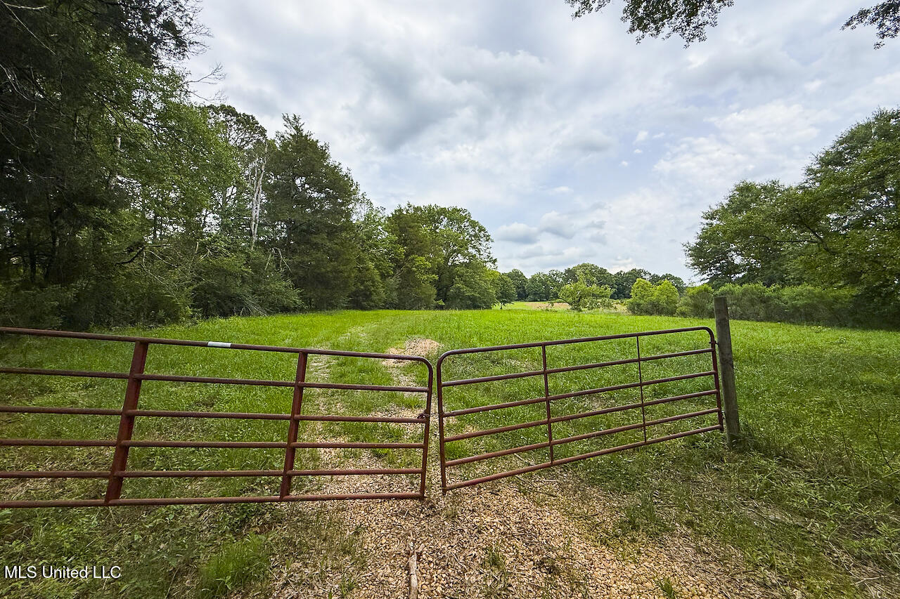 Horseshoe Lane Property Photo 19