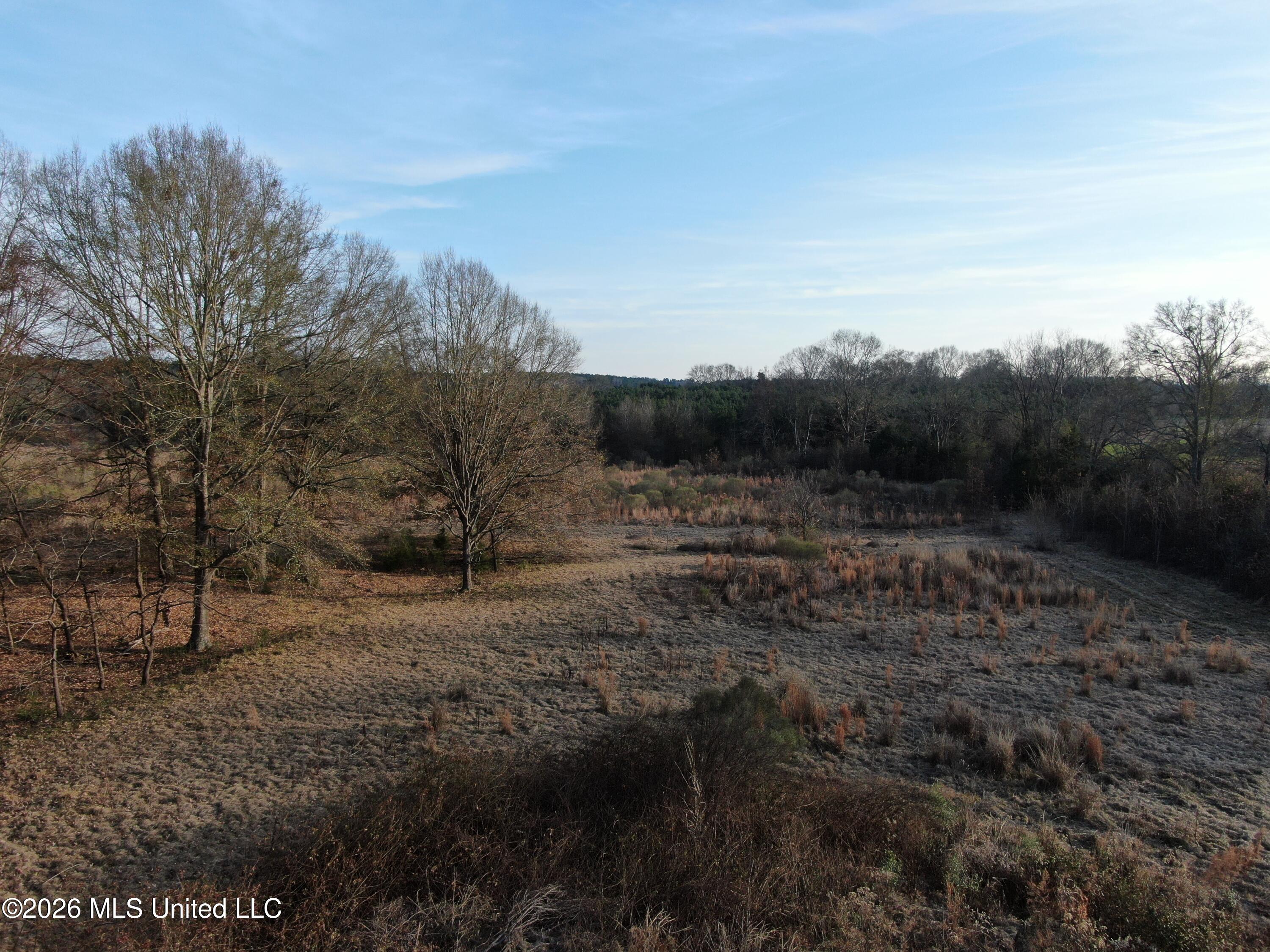 Horseshoe Lane Property Photo 26