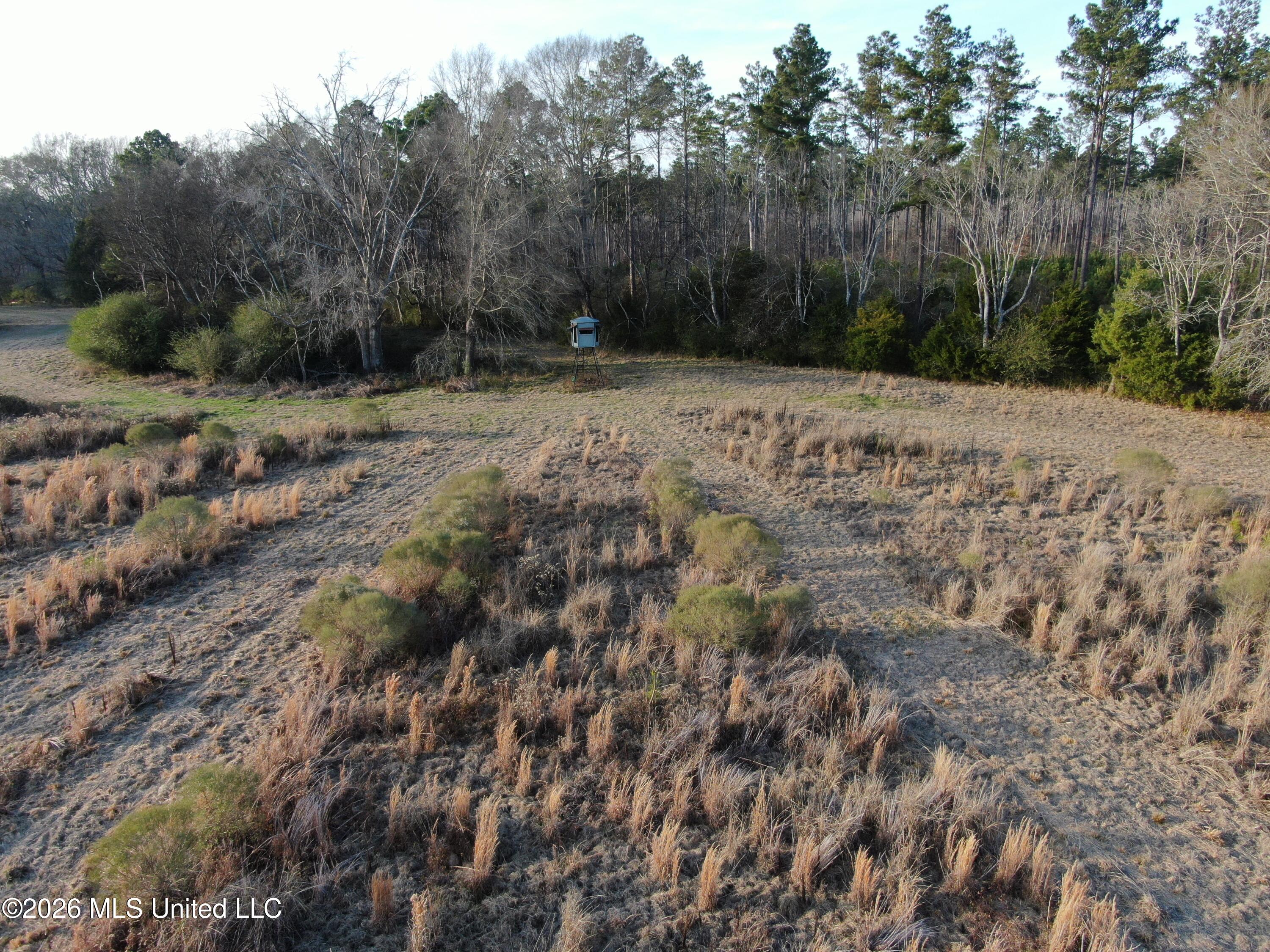 Horseshoe Lane Property Photo 29