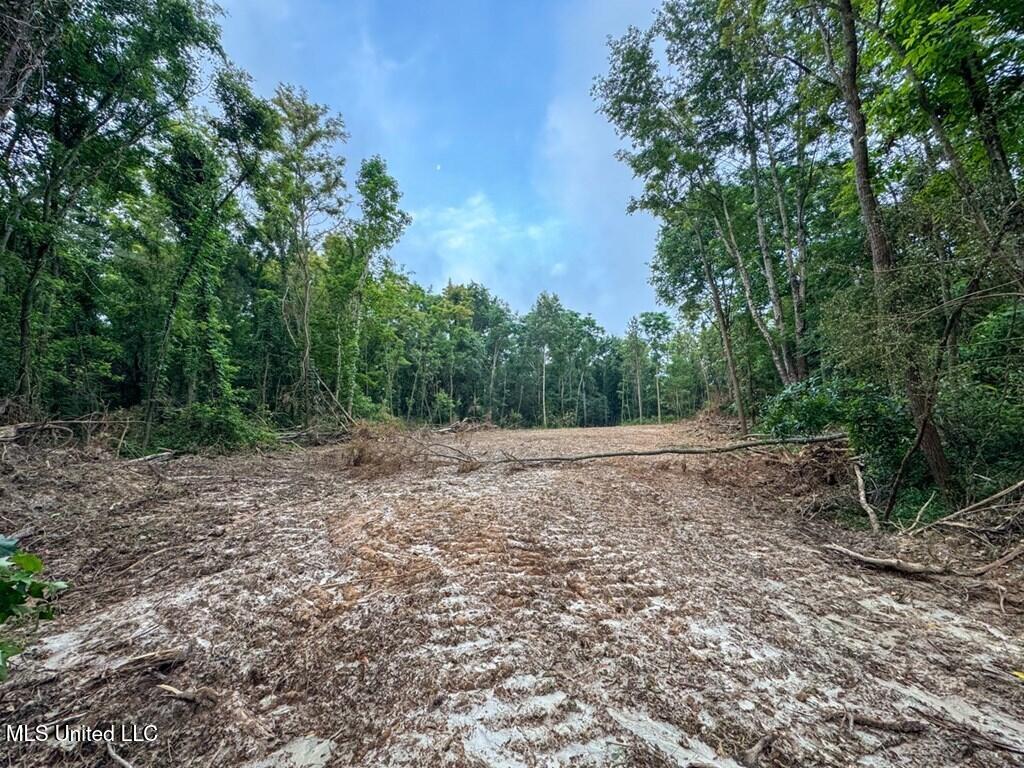 1 Old Hamburg Road Property Photo 6