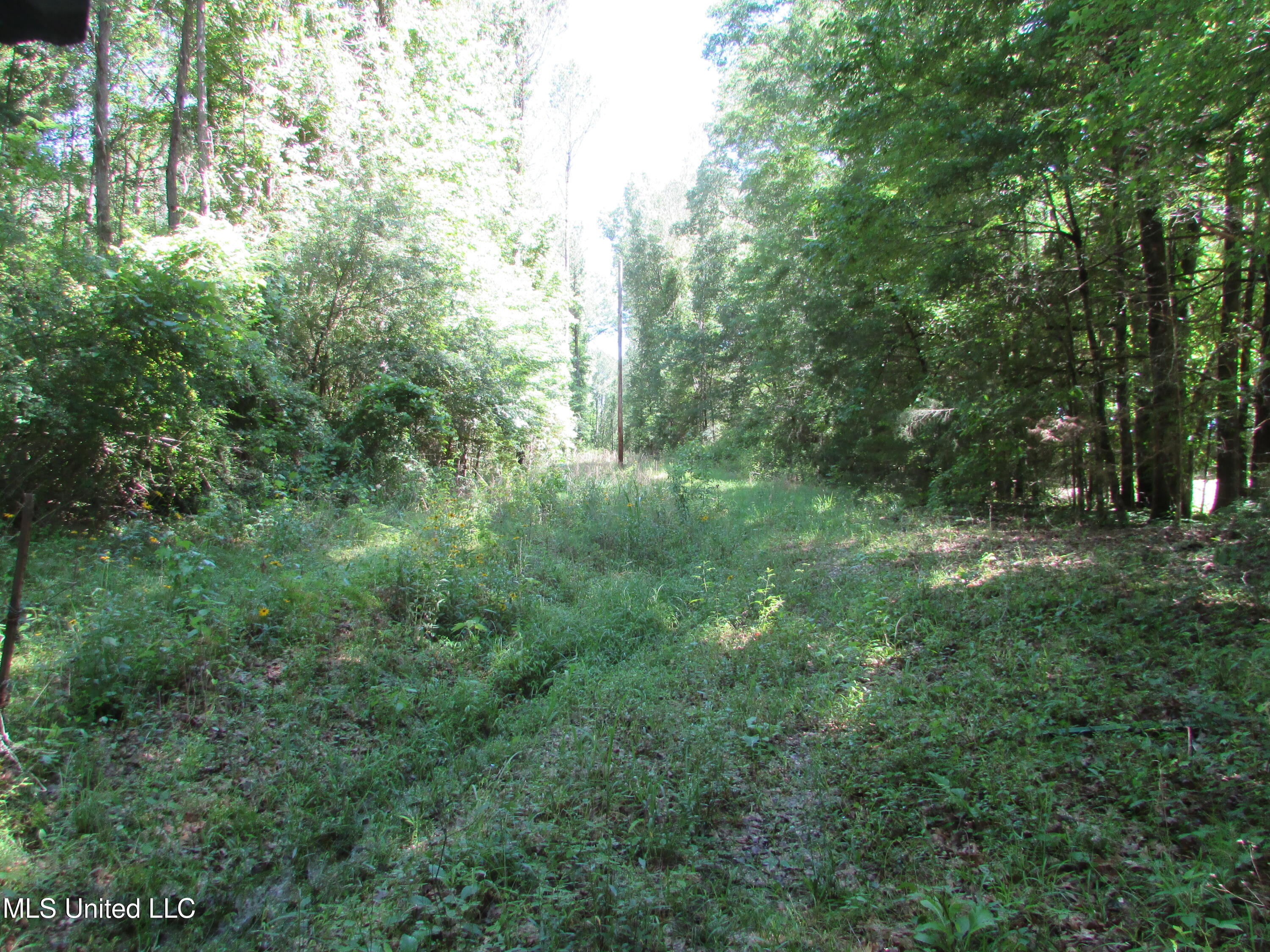 Bend Road Property Photo 5