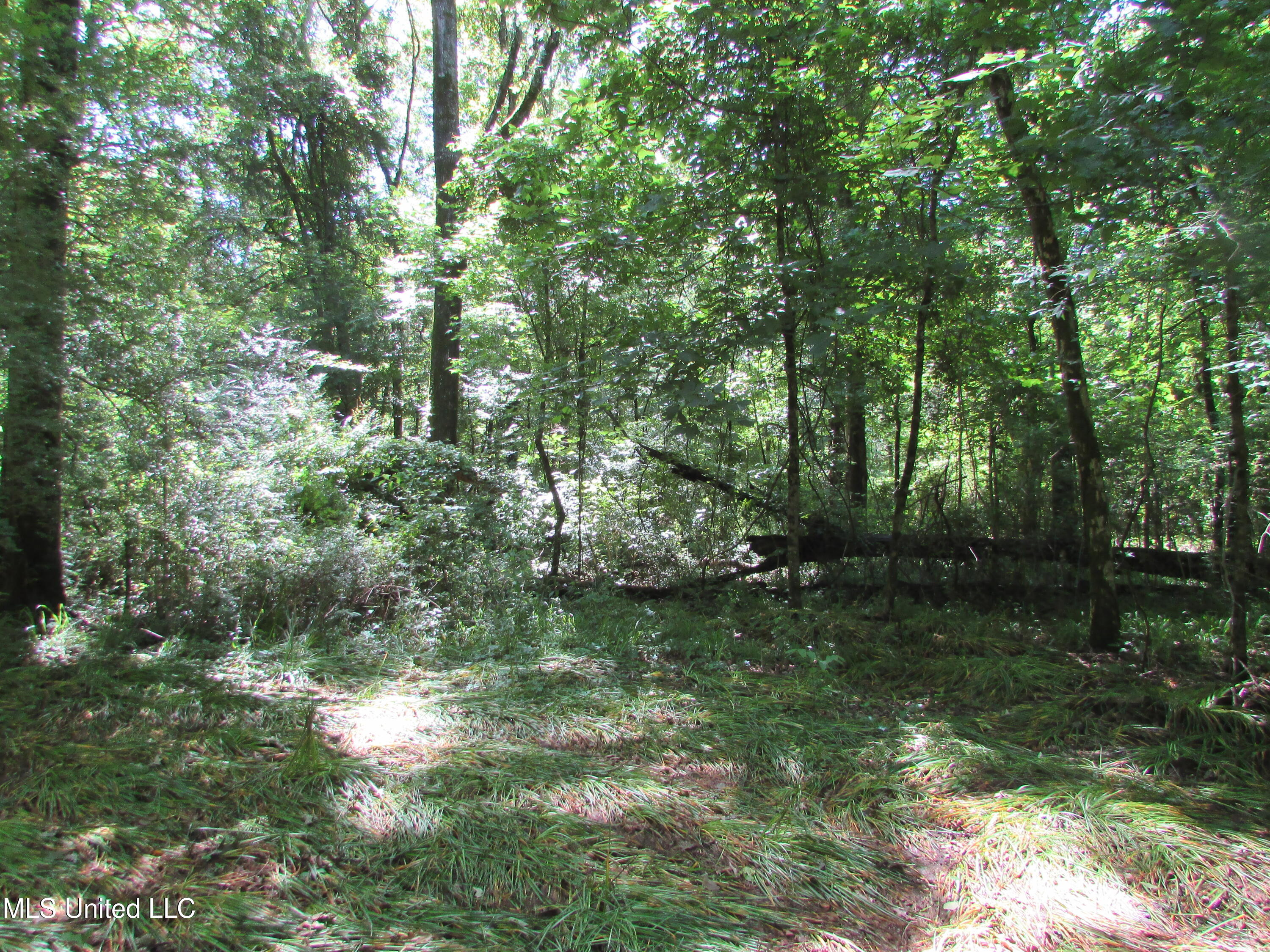 Bend Road Property Photo 10