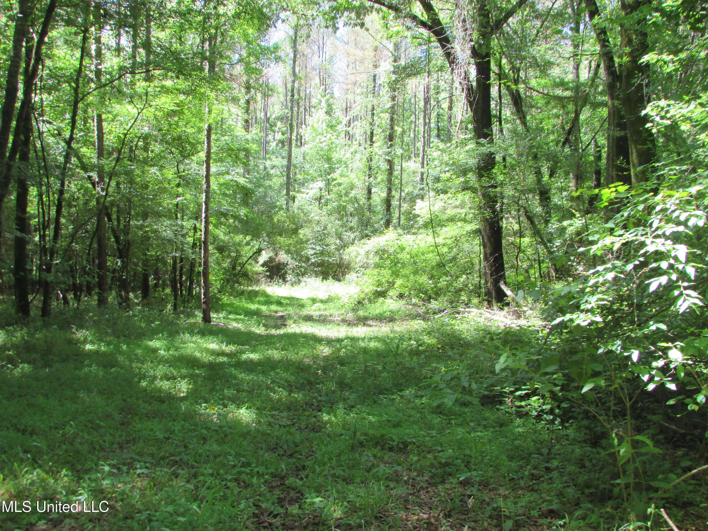 Bend Road Property Photo 12