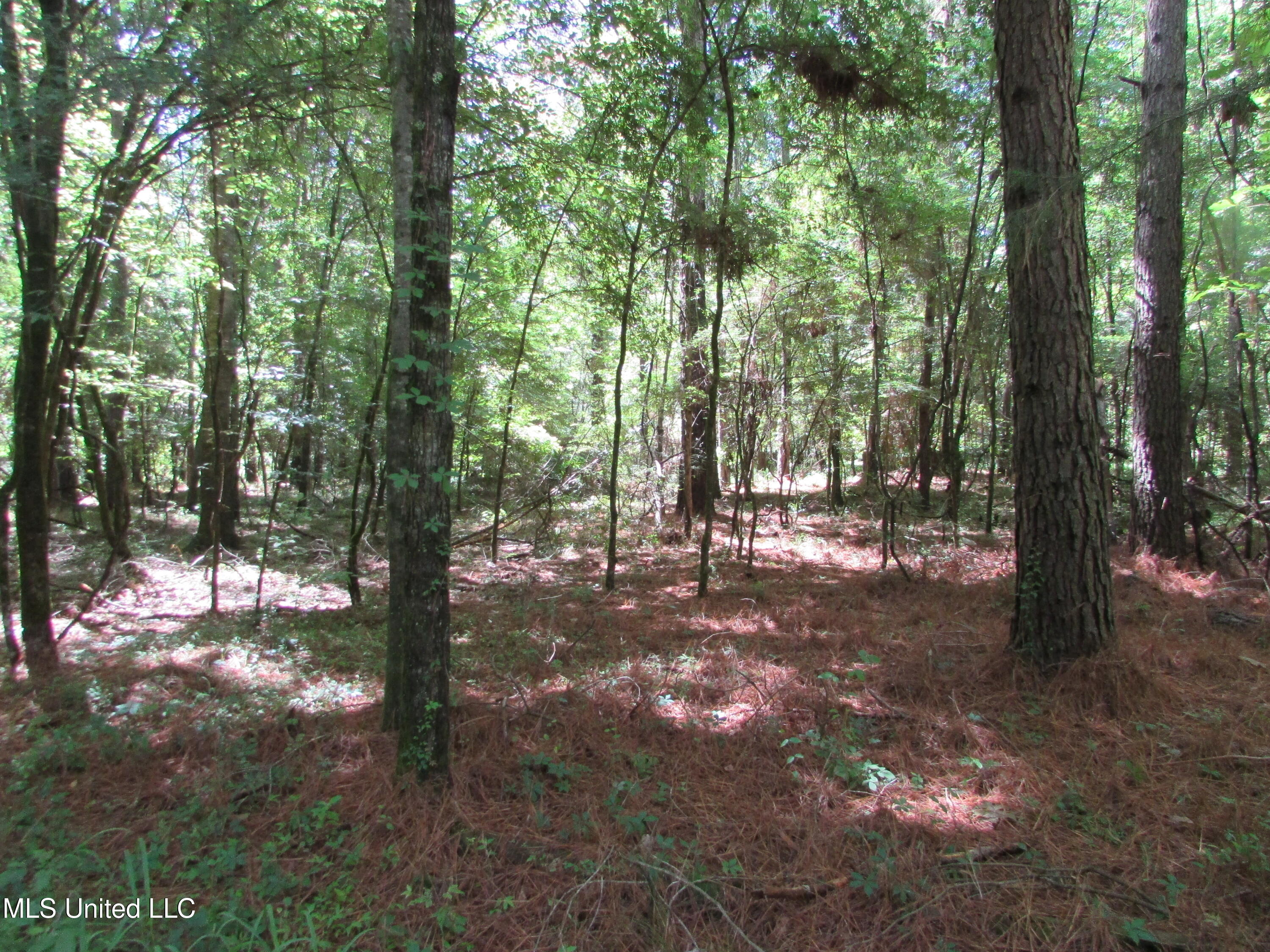 Bend Road Property Photo 16