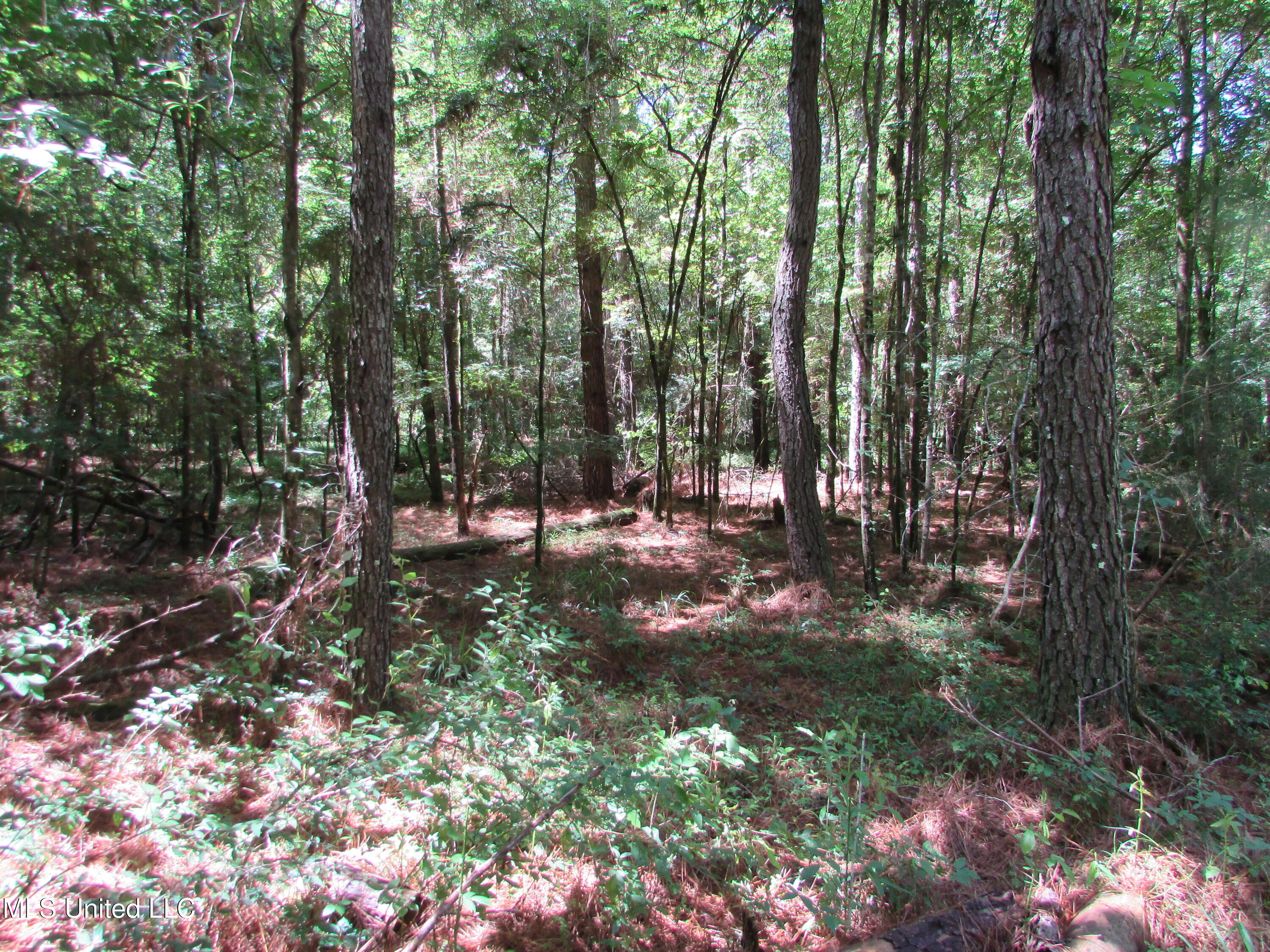 Bend Road Property Photo 17