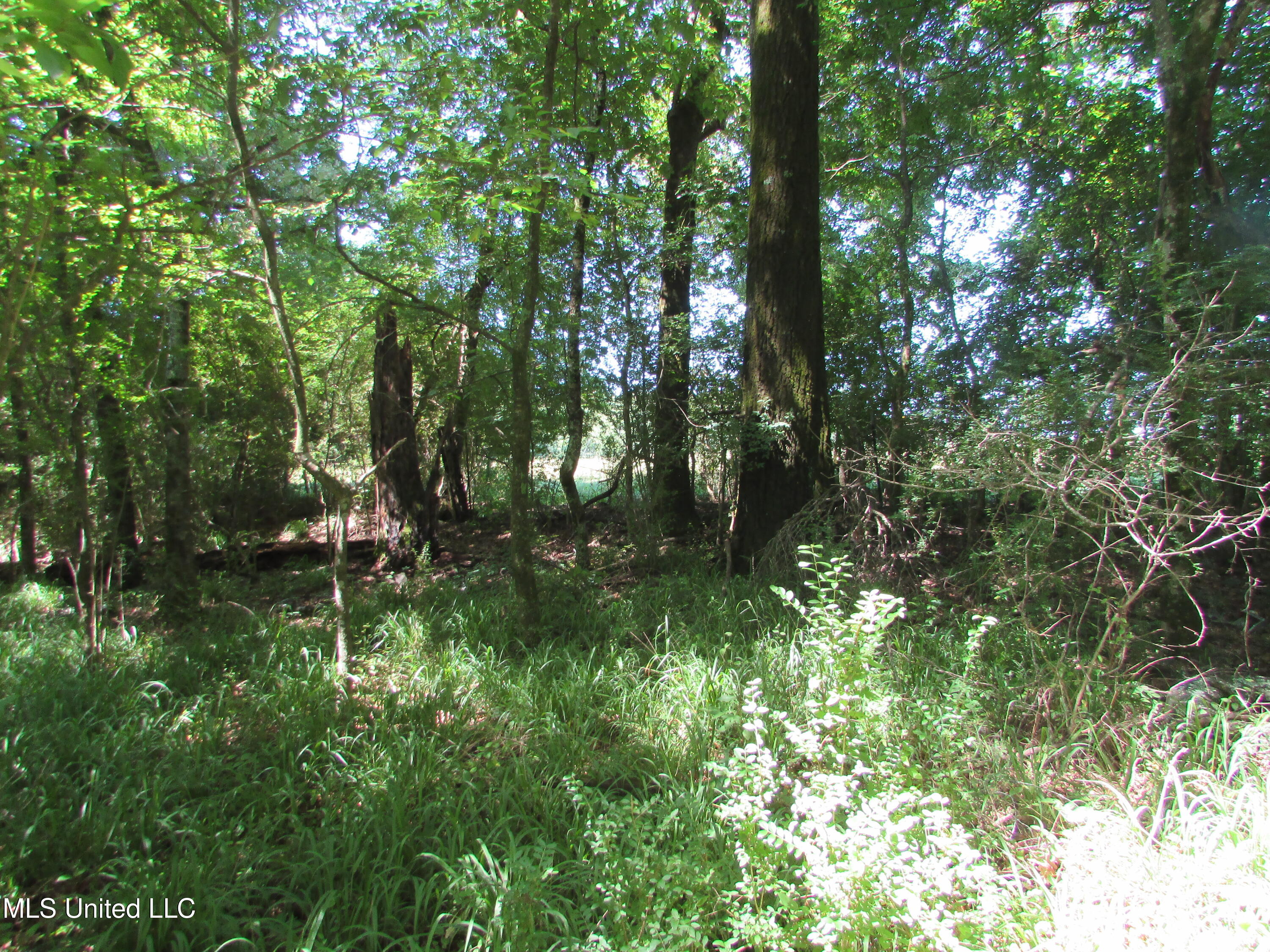 Bend Road Property Photo 18