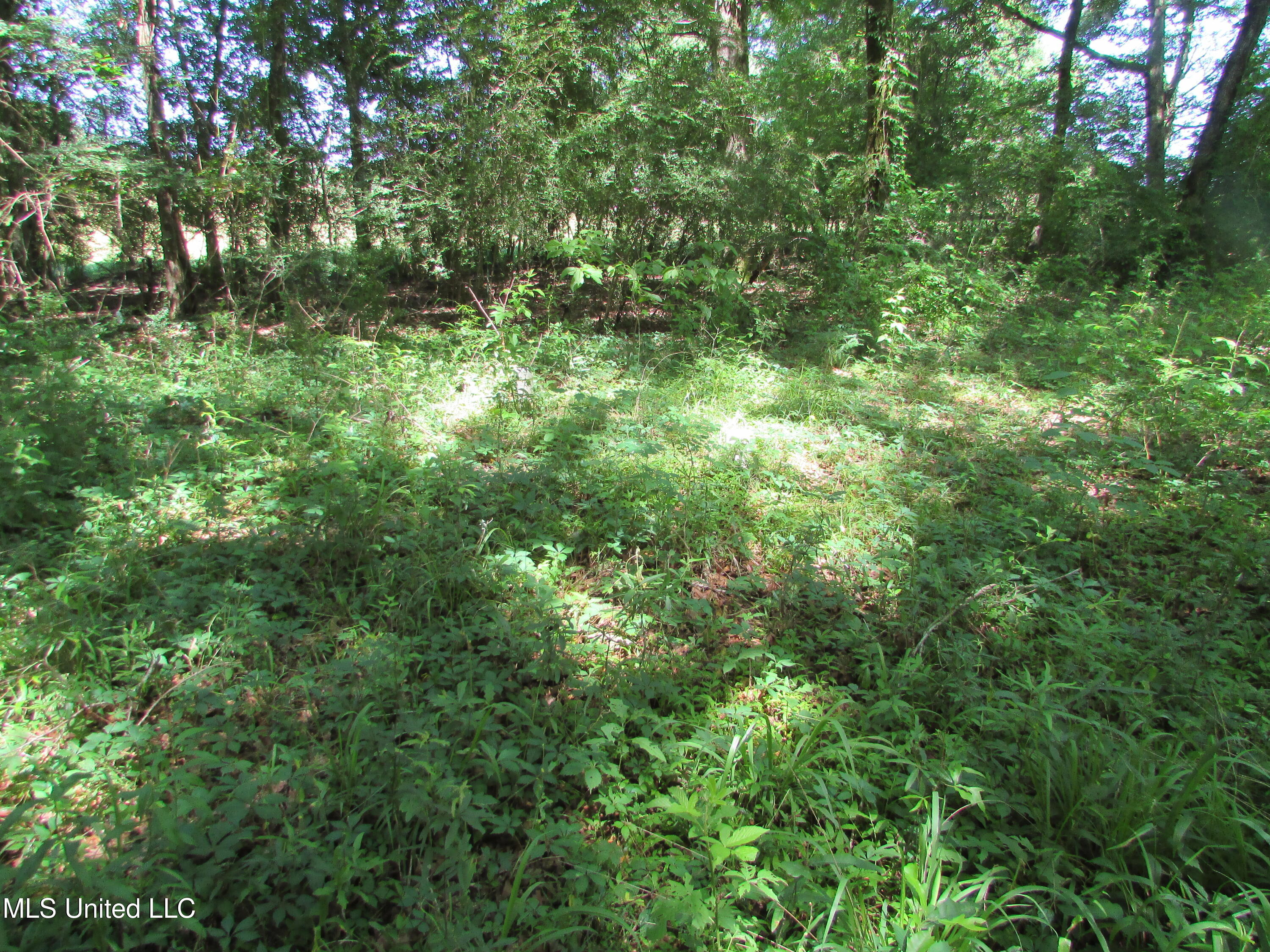 Bend Road Property Photo 25