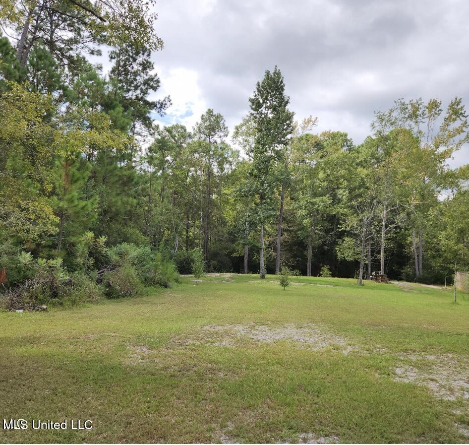 0 Meadowdale Drive Property Photo 1