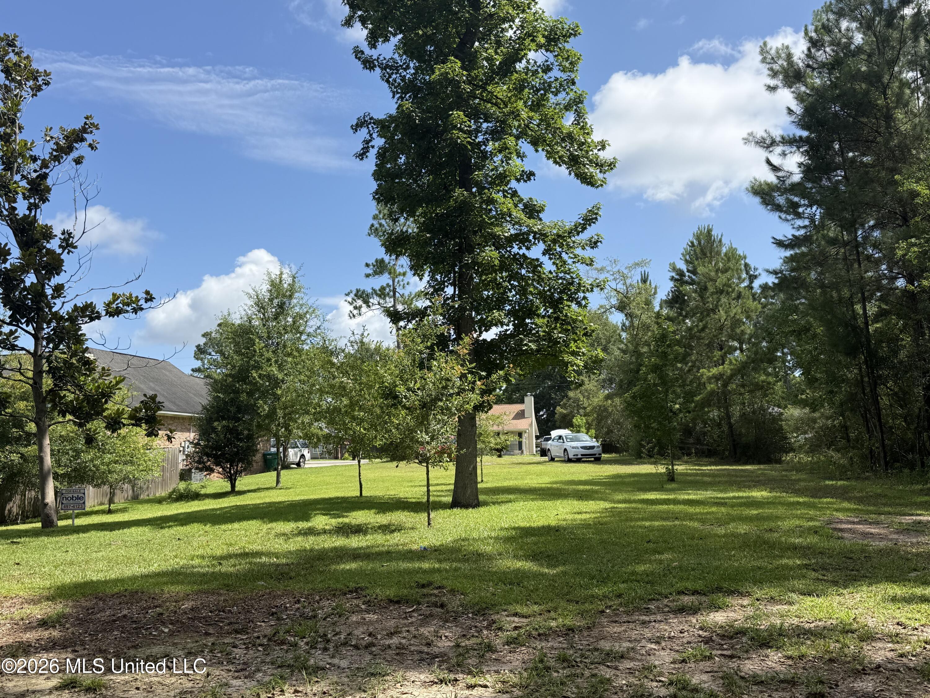 0 Meadowdale Drive Property Photo 12