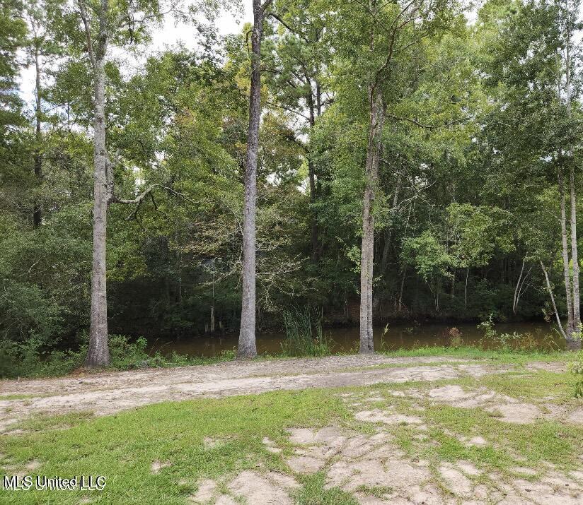 0 Meadowdale Drive Property Photo 17