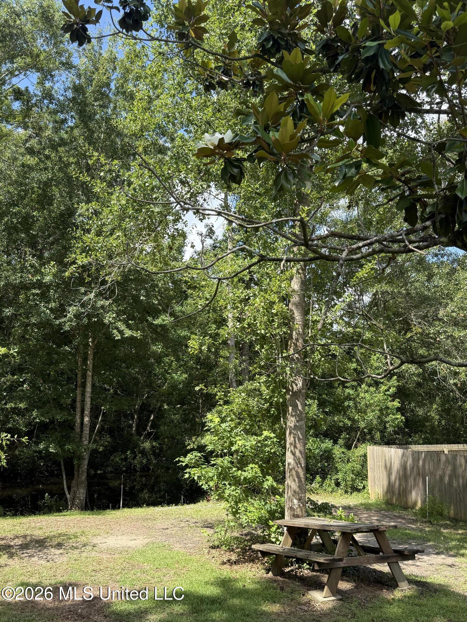 0 Meadowdale Drive Property Photo 18