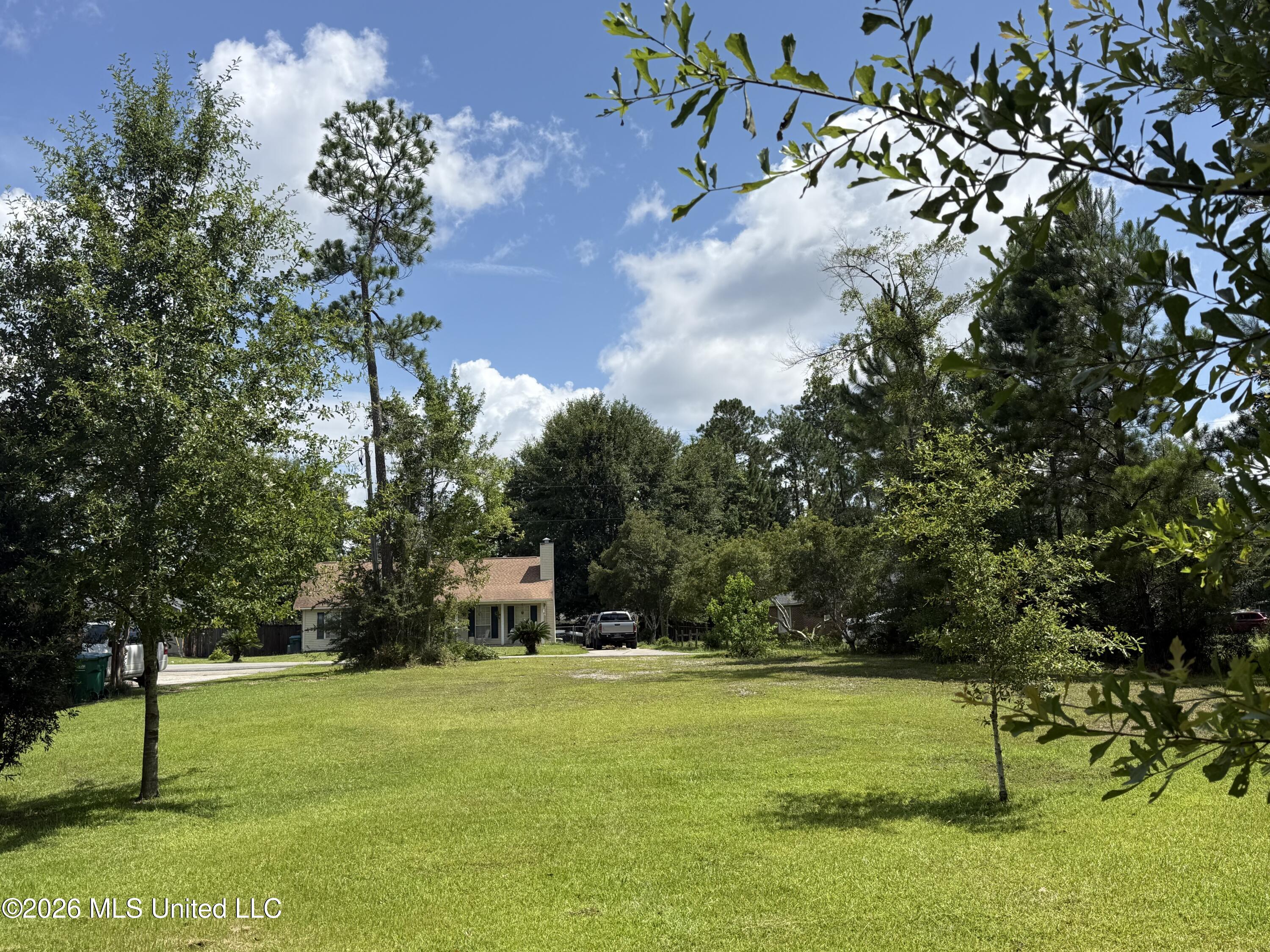 0 Meadowdale Drive Property Photo 19
