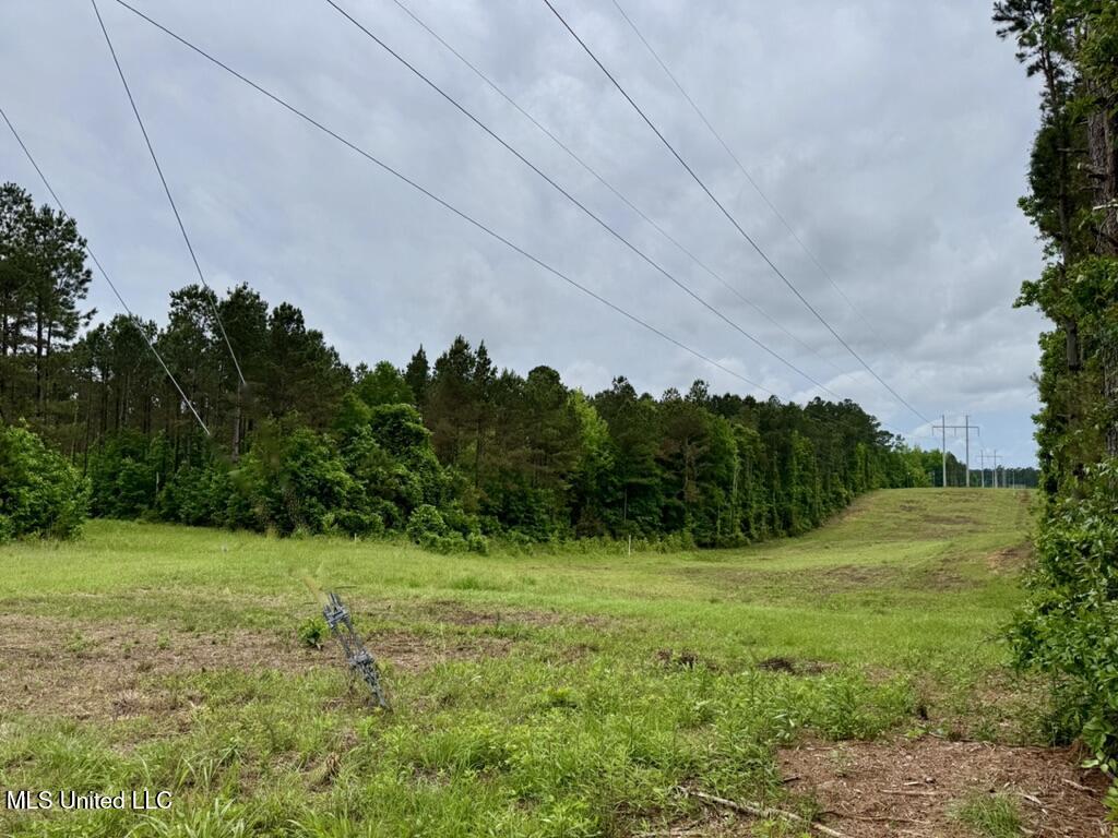 0010 Mount Carmel Road Road Property Photo 5