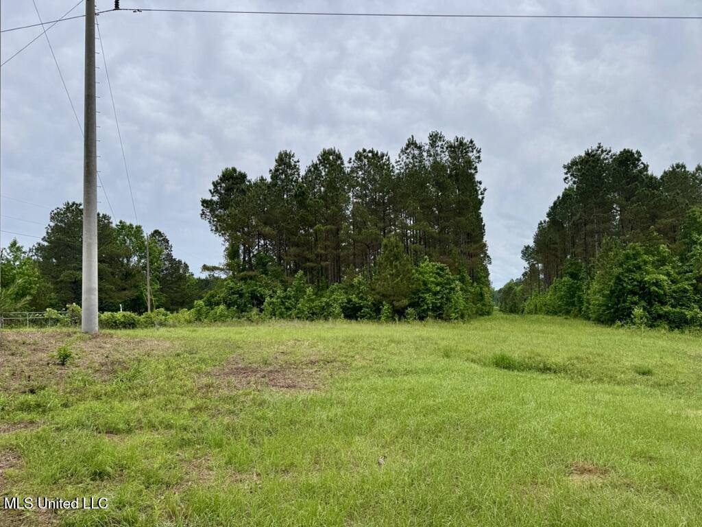 0010 Mount Carmel Road Road Property Photo 7