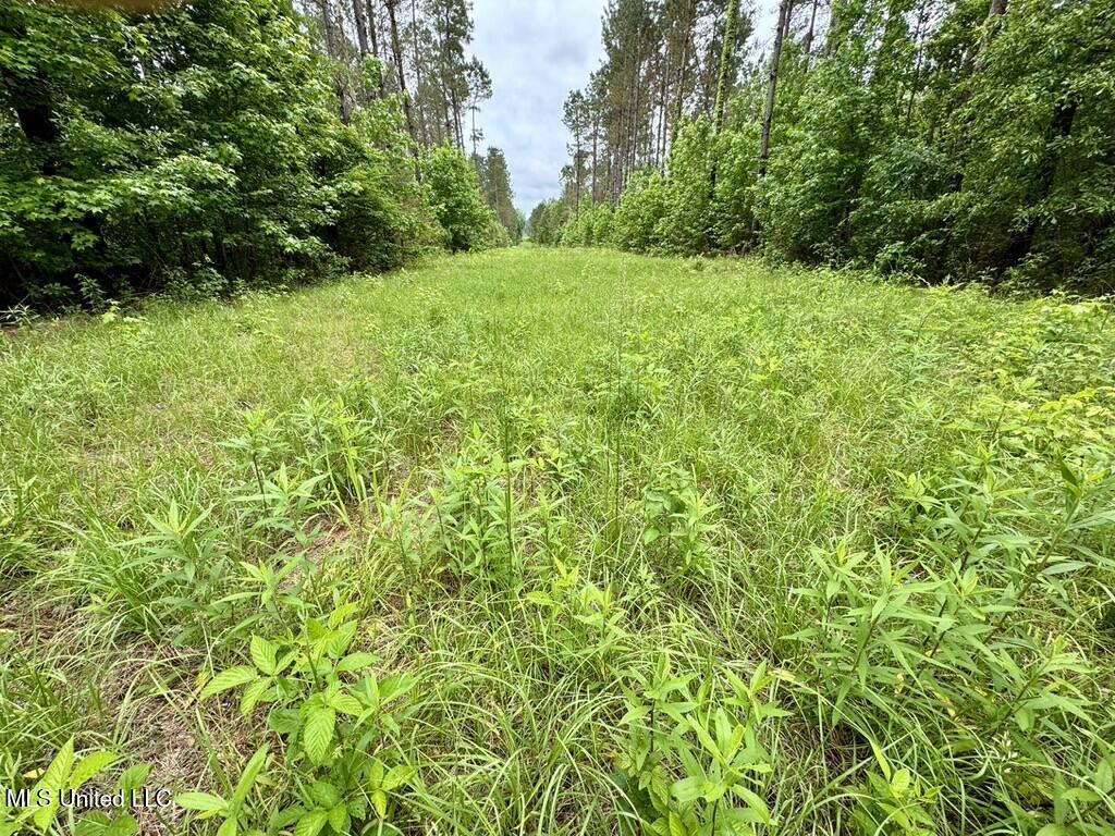0010 Mount Carmel Road Road Property Photo 10