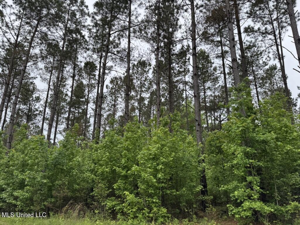 0010 Mount Carmel Road Road Property Photo 13