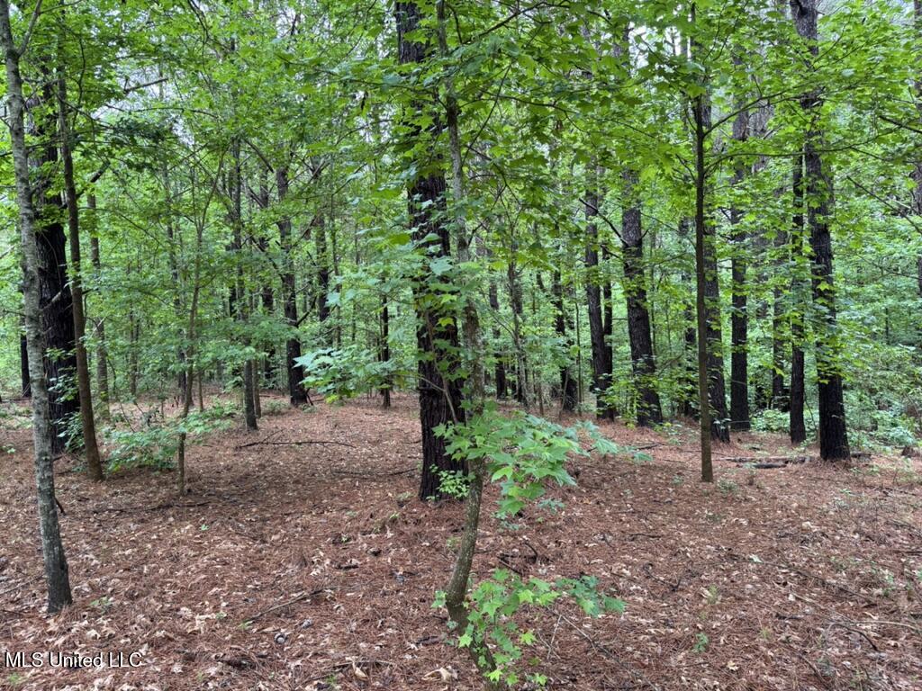 0010 Mount Carmel Road Road Property Photo 18