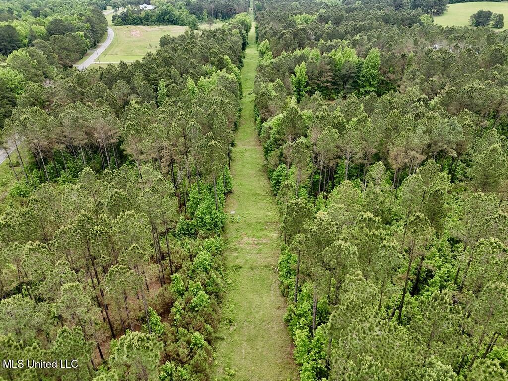 0020 Mount Carmel Road Property Photo 5