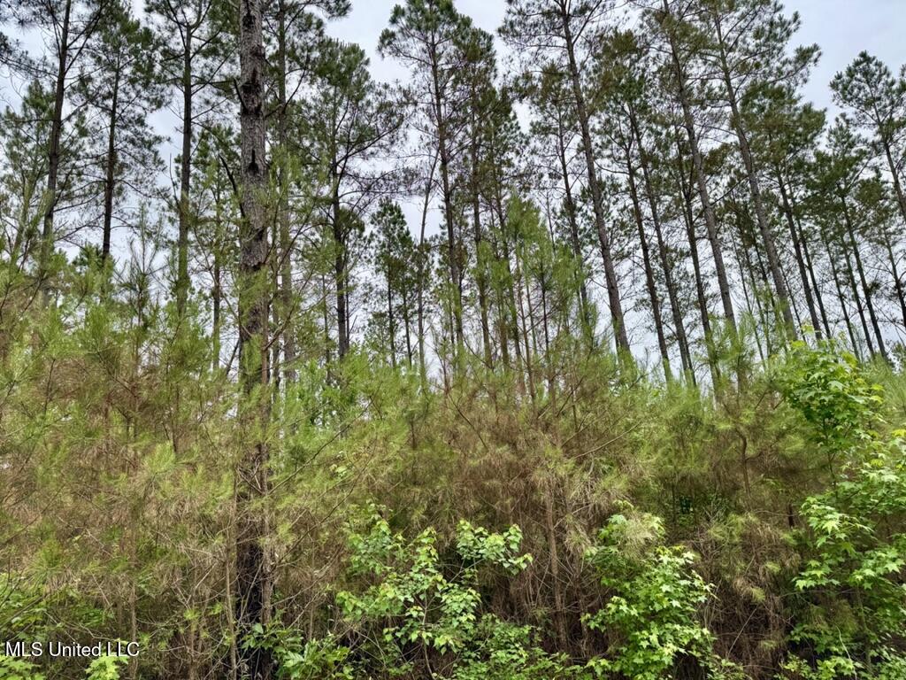 0020 Mount Carmel Road Property Photo 7