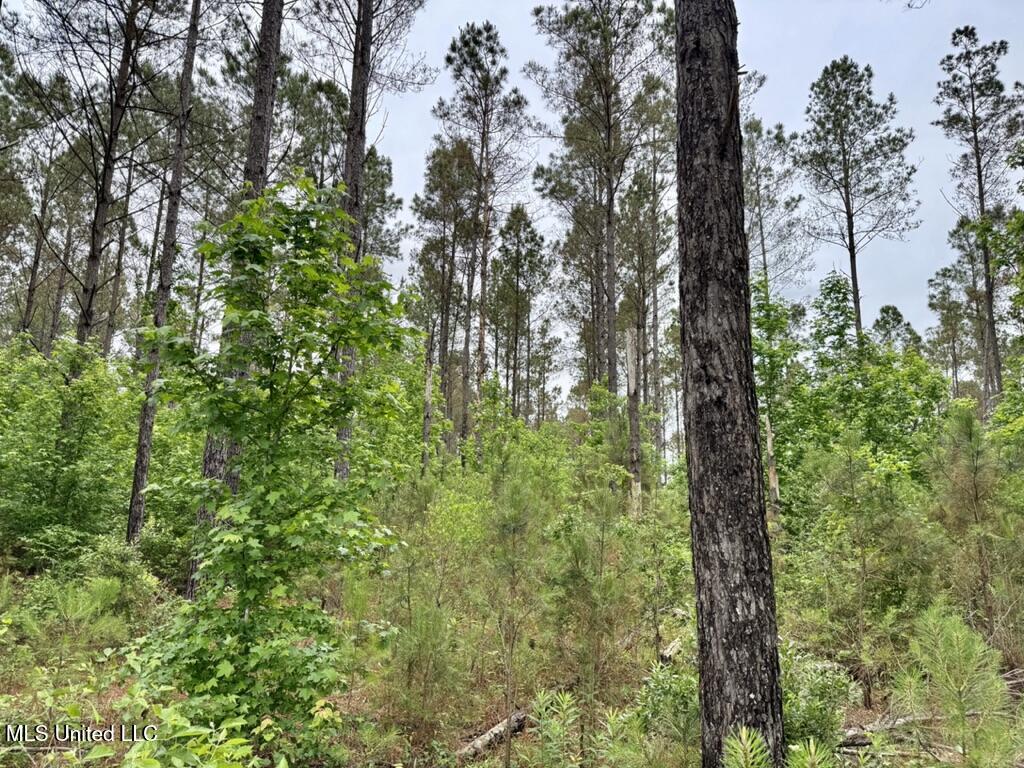 0020 Mount Carmel Road Property Photo 10