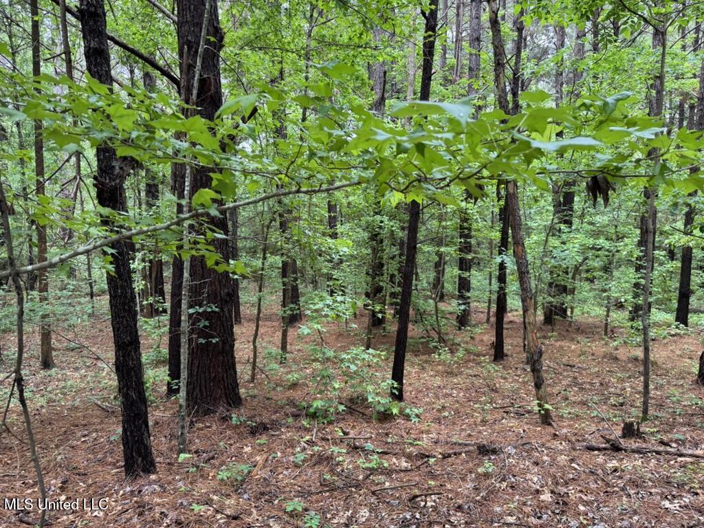 0020 Mount Carmel Road Property Photo 11