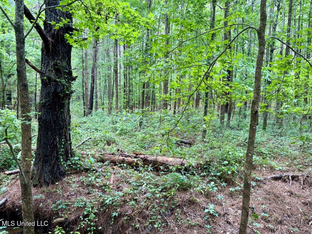 0020 Mount Carmel Road Property Photo 13