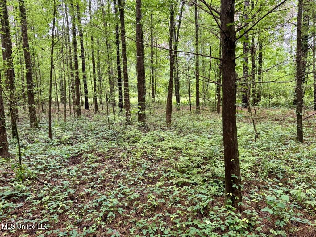 0020 Mount Carmel Road Property Photo 14