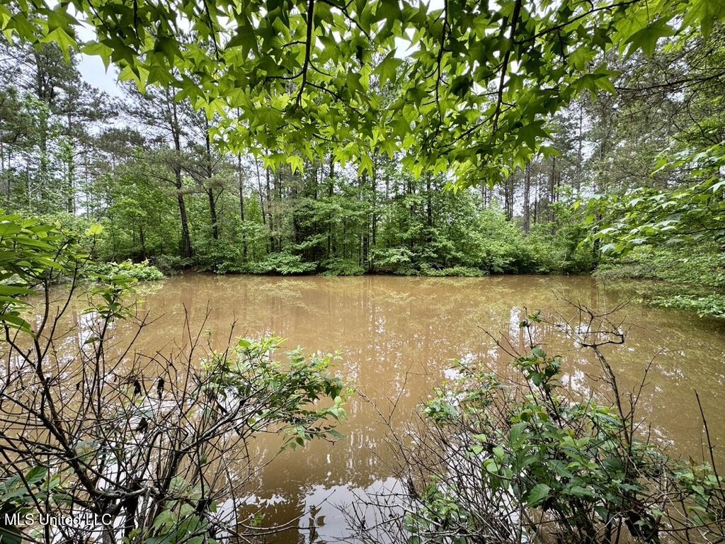 0020 Mount Carmel Road Property Photo 15